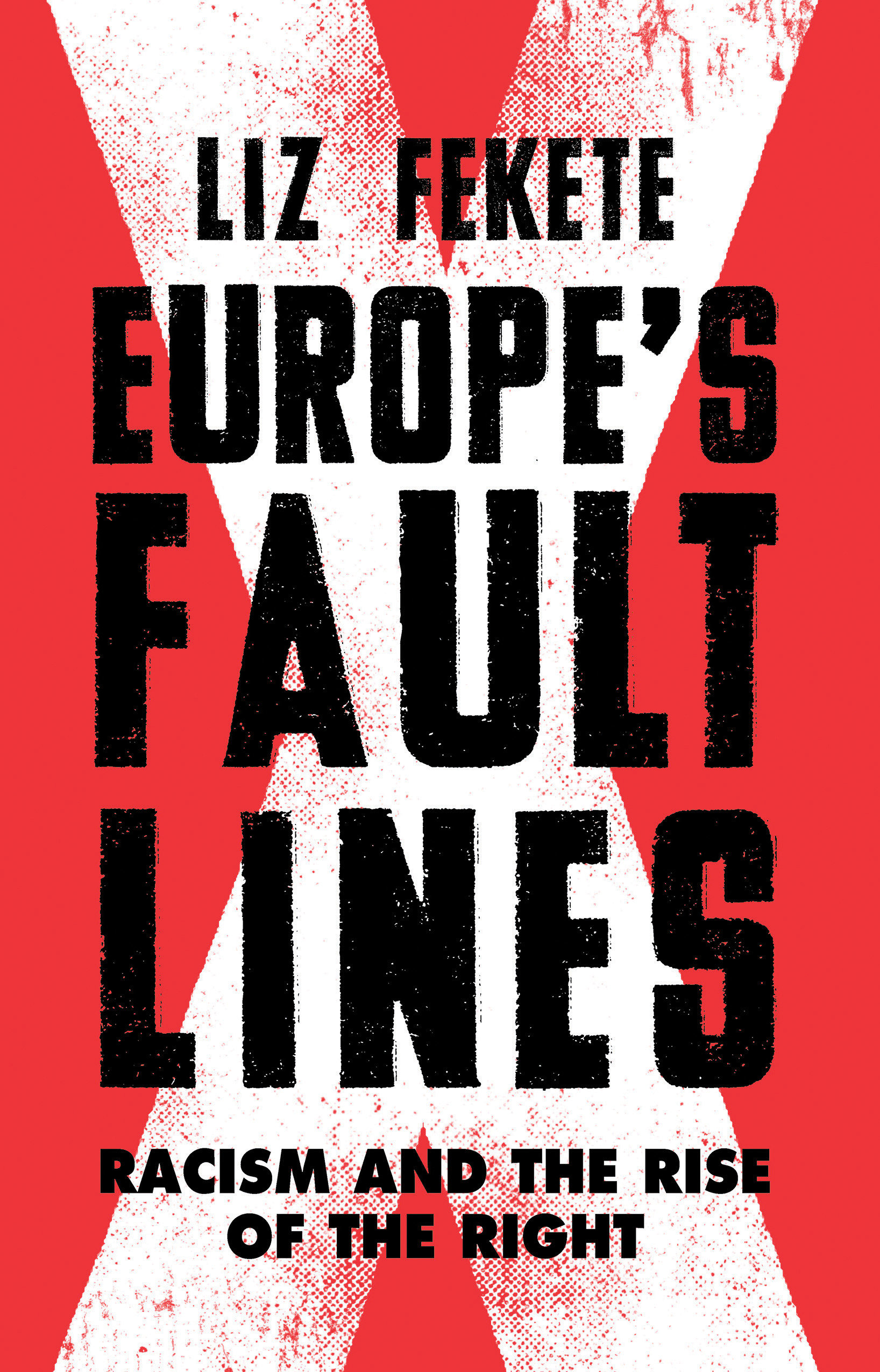 Europe'S Fault Lines (Hardcover Book)