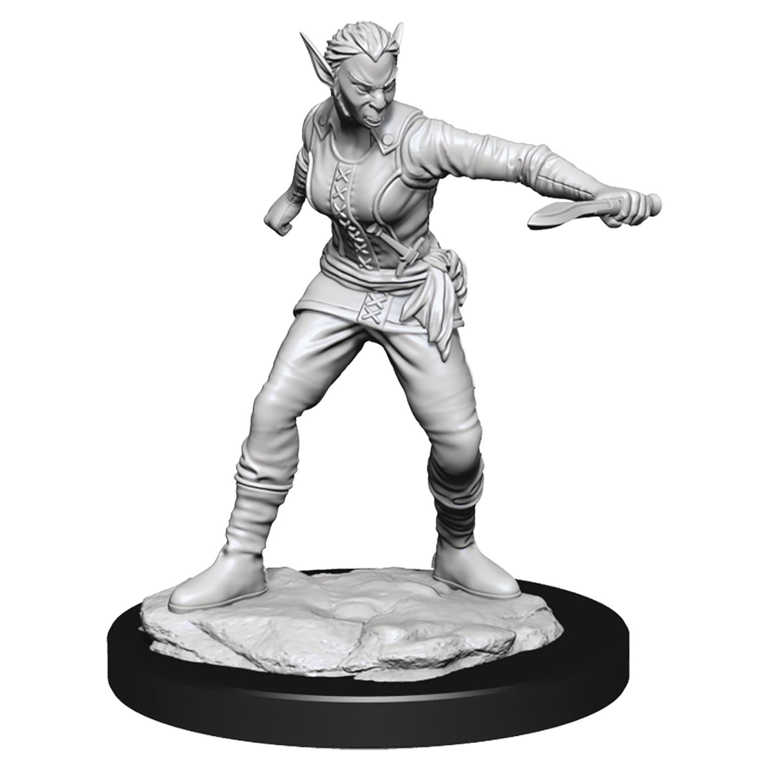 Dungeons & Dragons Nolzars Marvelous Minis Shifter Rogue Female