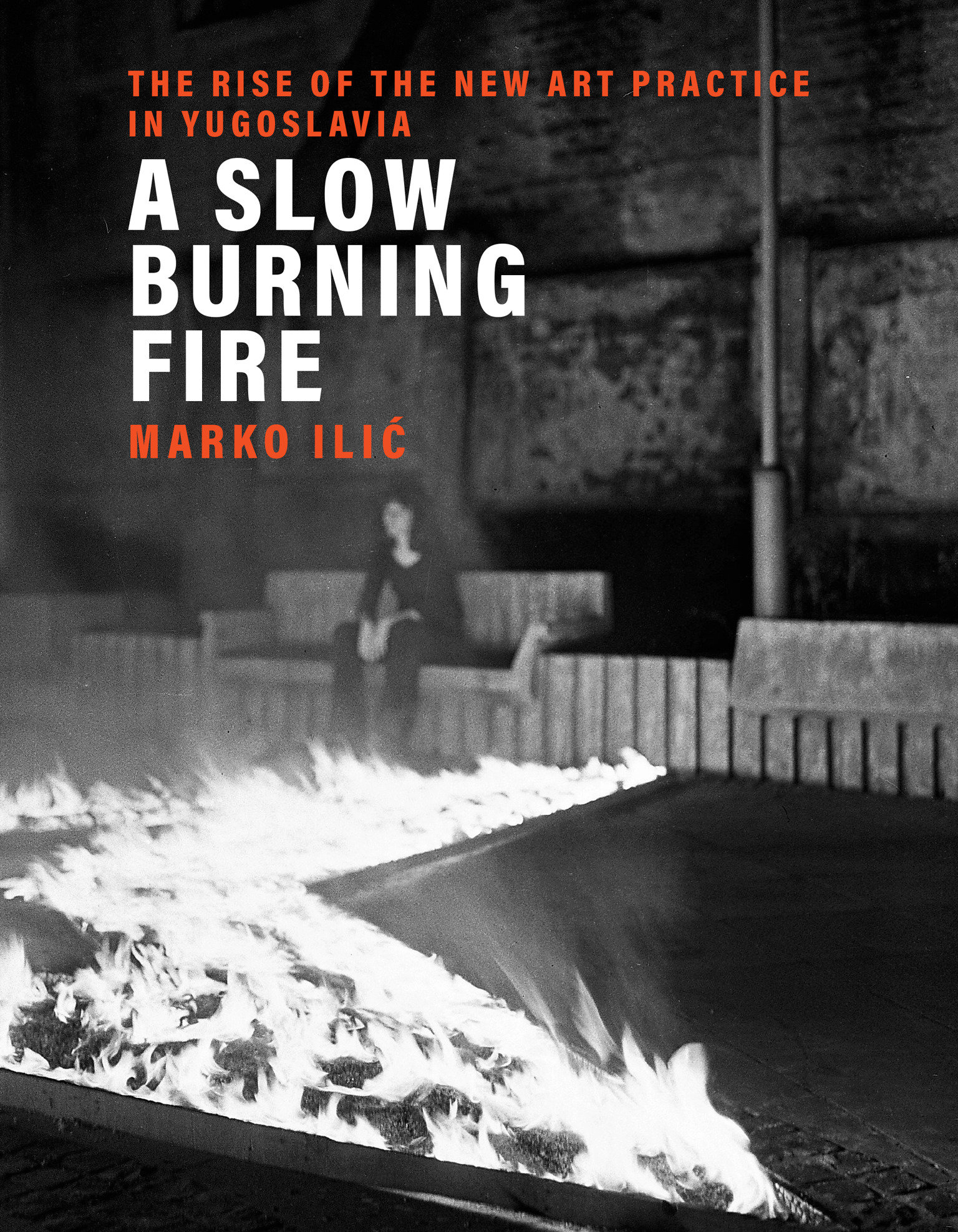 A Slow Burning Fire (Hardcover Book)