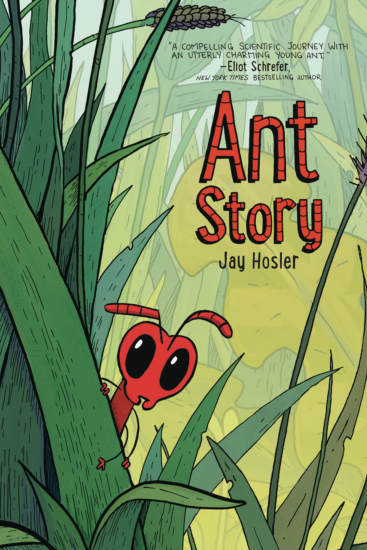 Ant Story Graphic Novel