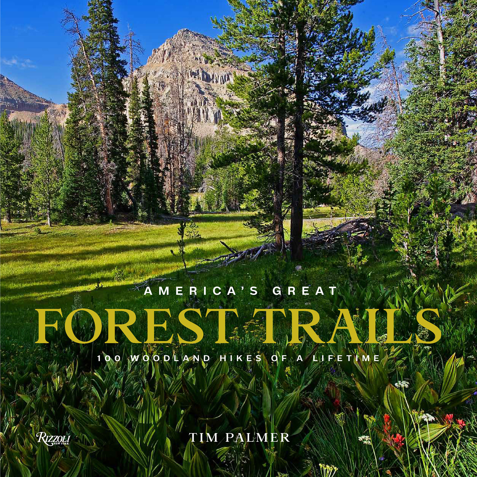 America'S Great Forest Trails (Hardcover Book)