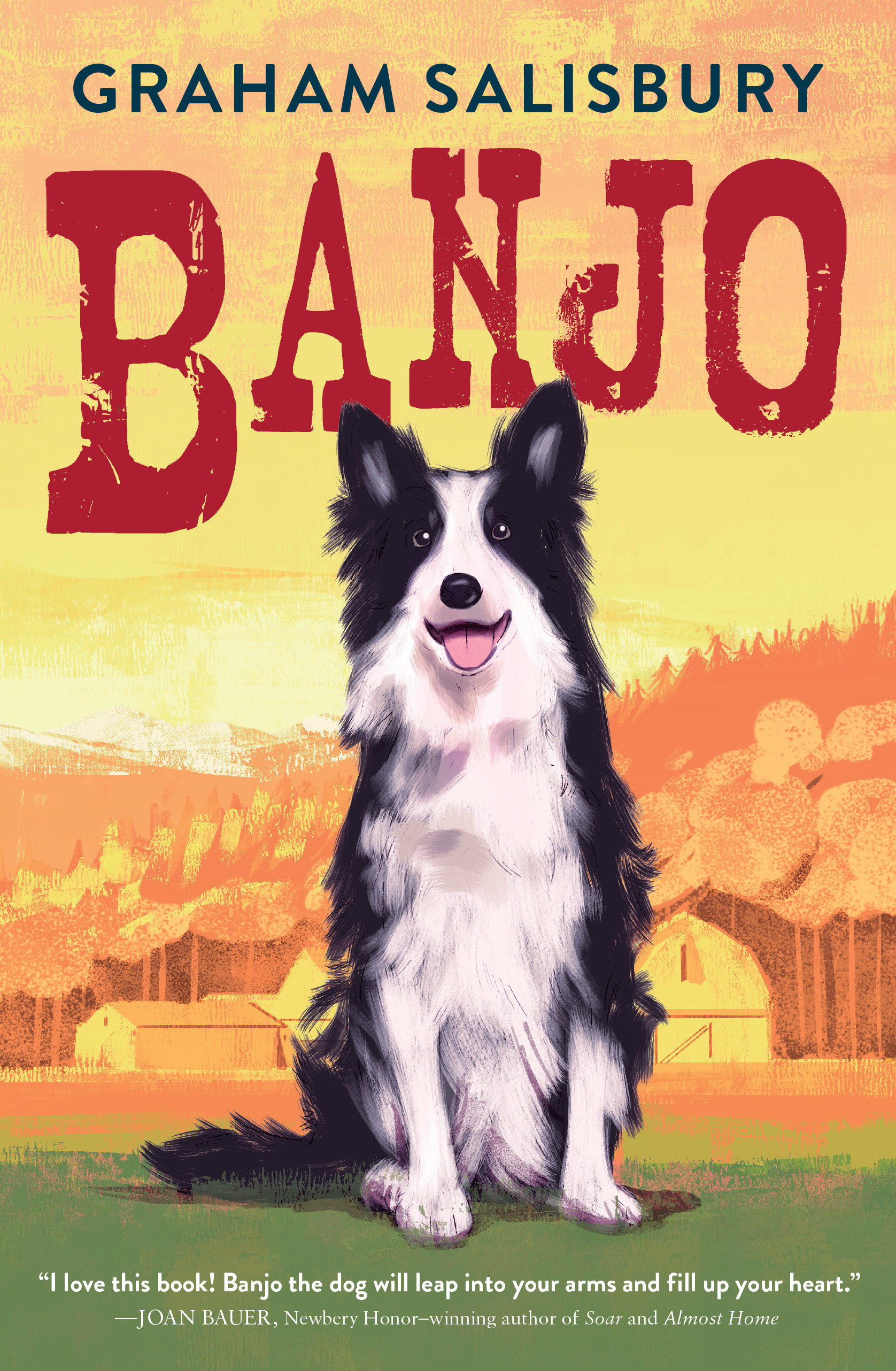 Banjo (Hardcover Book)