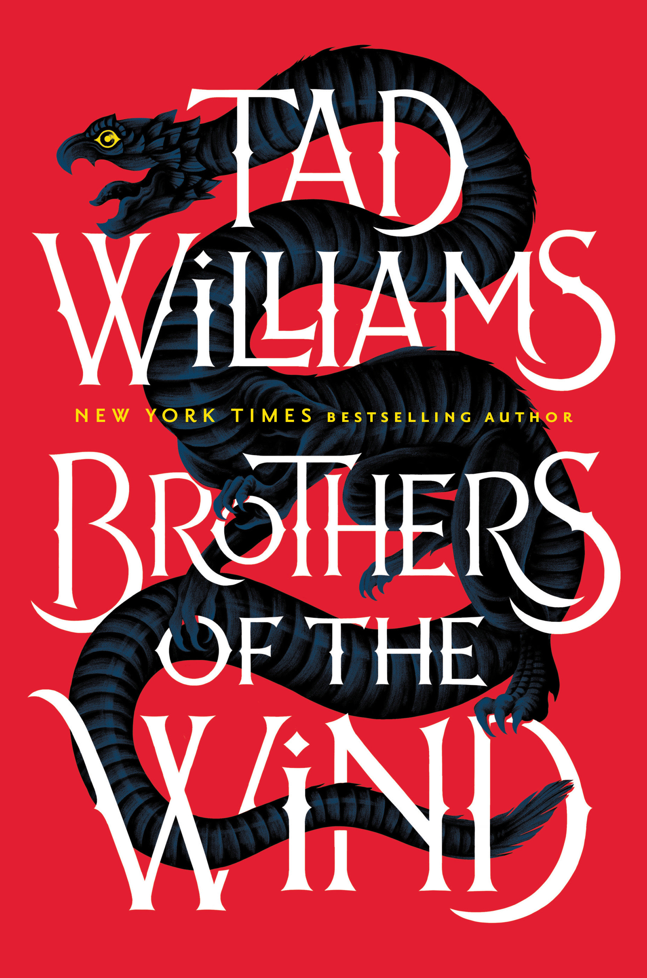 Brothers Of The Wind (Hardcover Book)