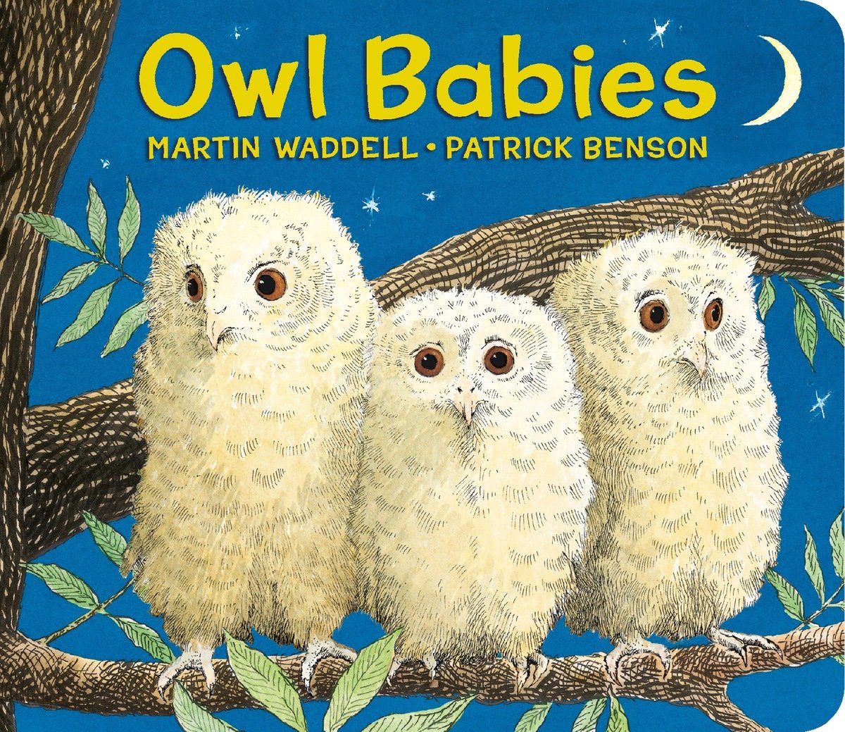 Owl Babies Board Book