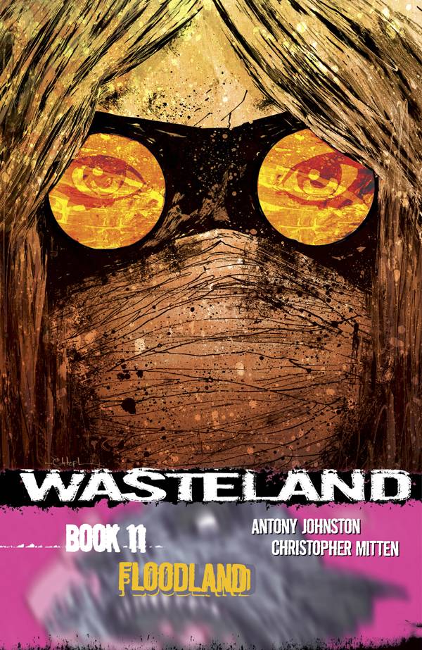 Wasteland Graphic Novel Volume 11 Floodland