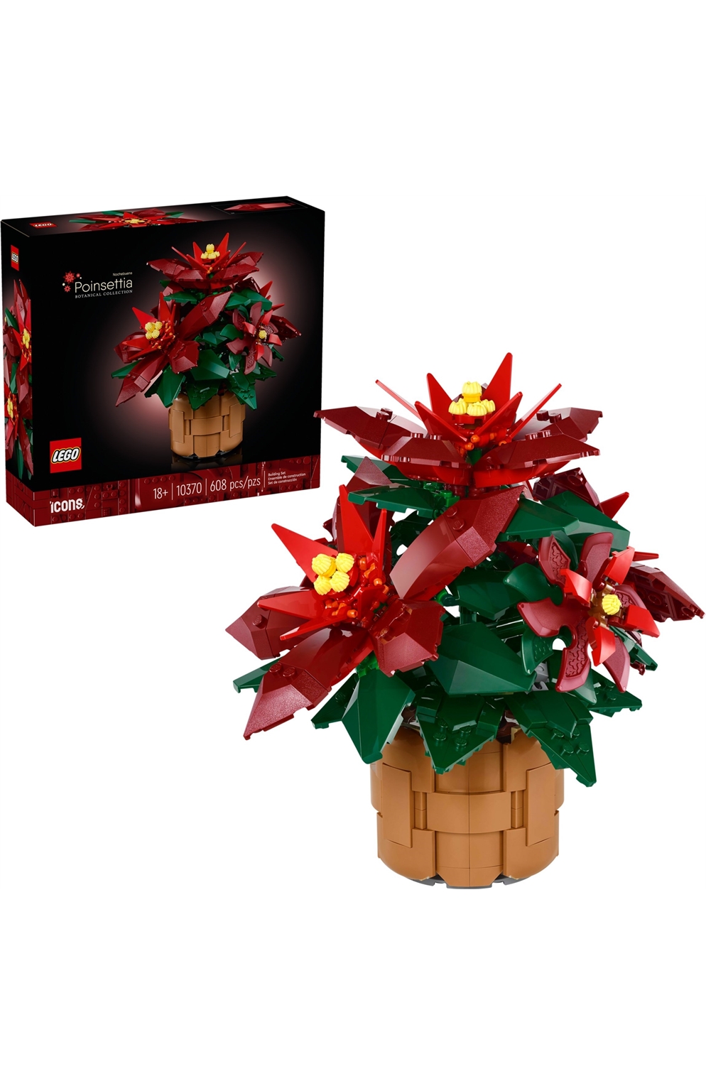 10370 Poinsettia