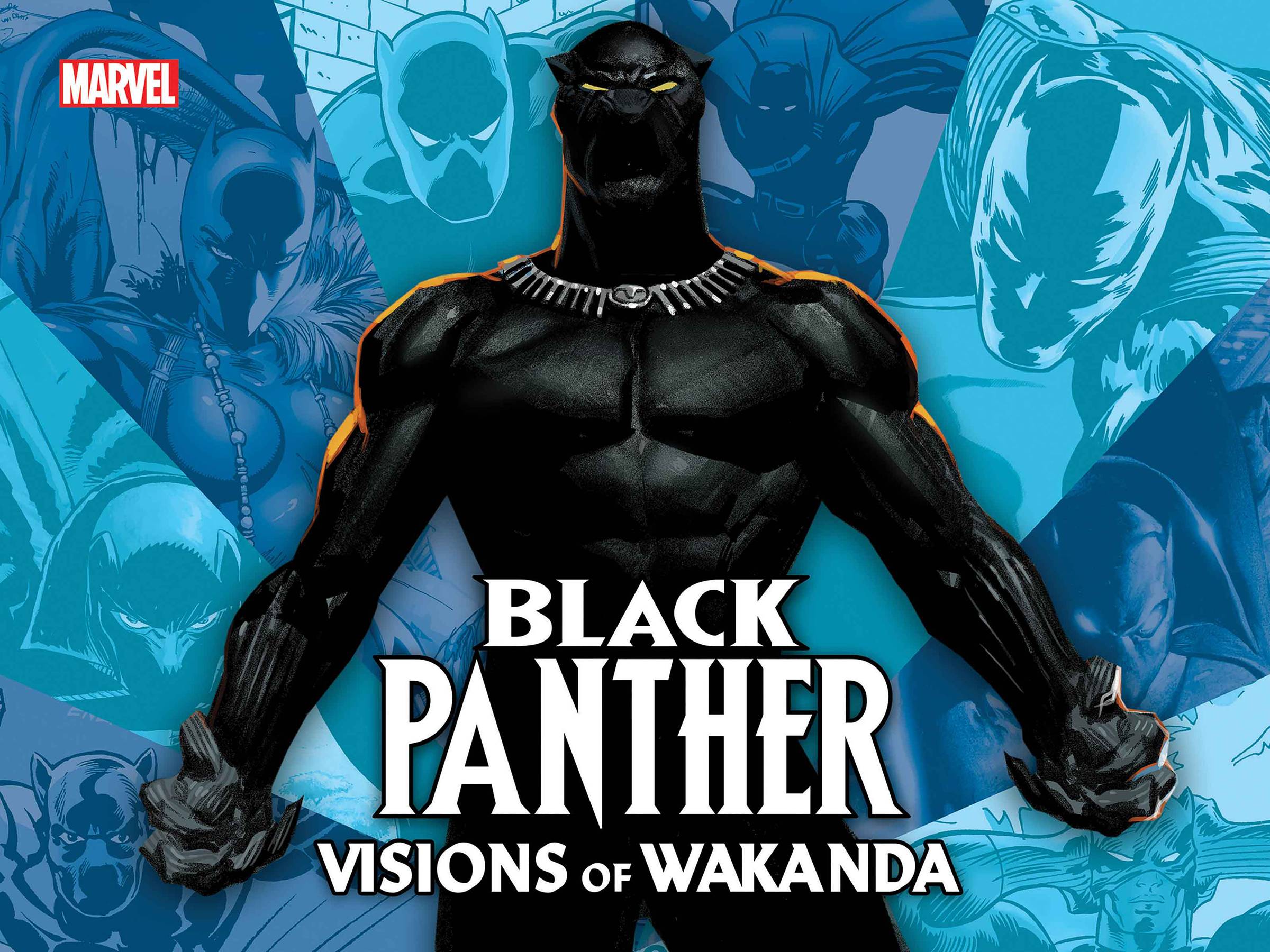 Black Panther Hardcover Visions of Wakanda