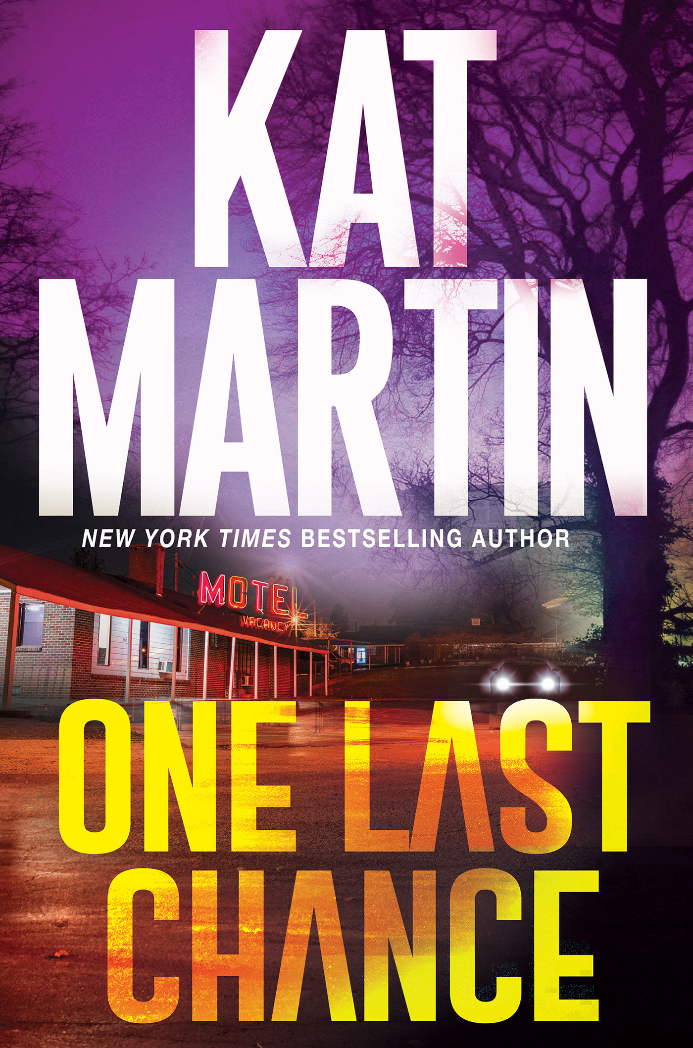 One Last Chance (Hardcover Book)