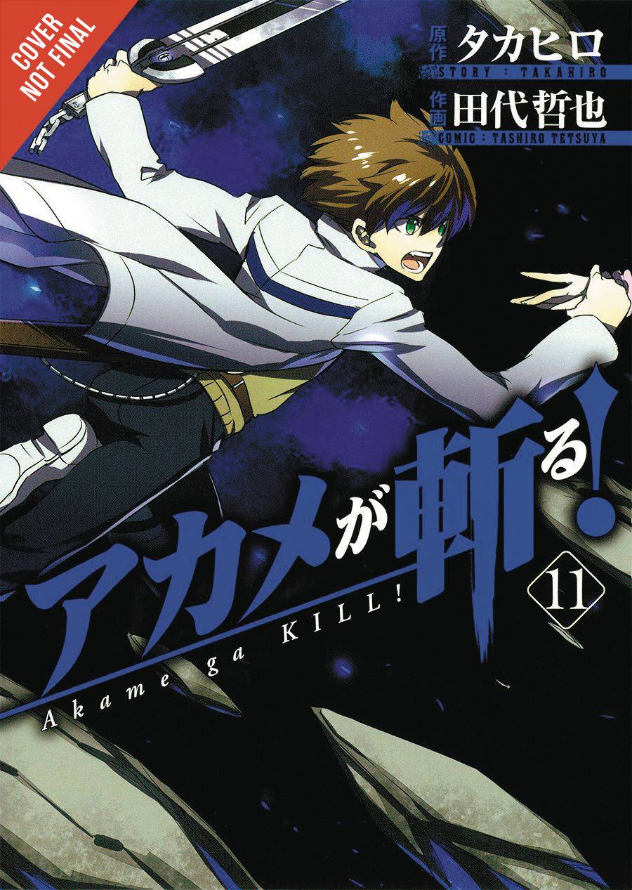 Akame Ga Kill Graphic Novel Volume 11
