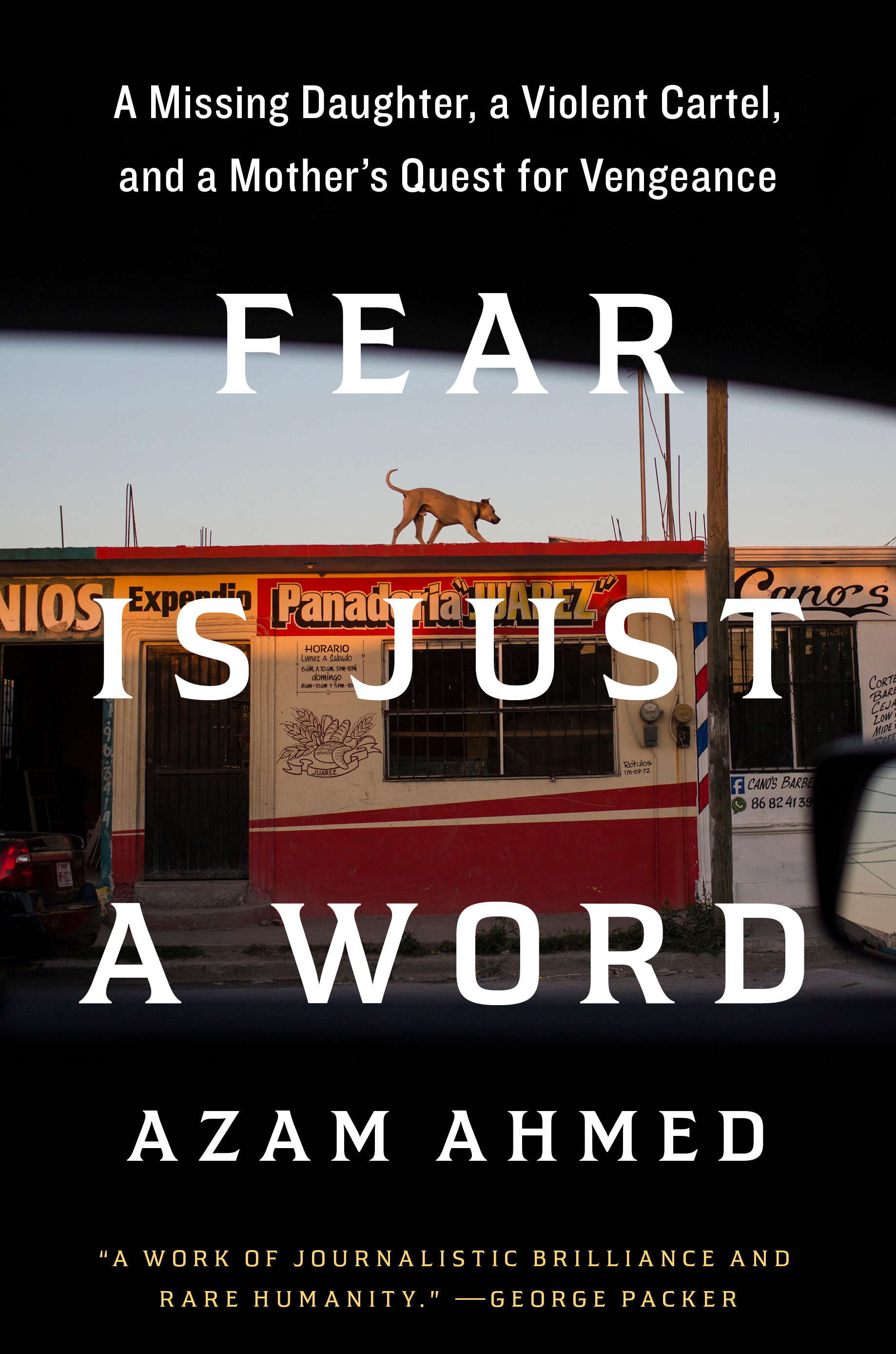 Fear Is Just A Word (Hardcover Book)
