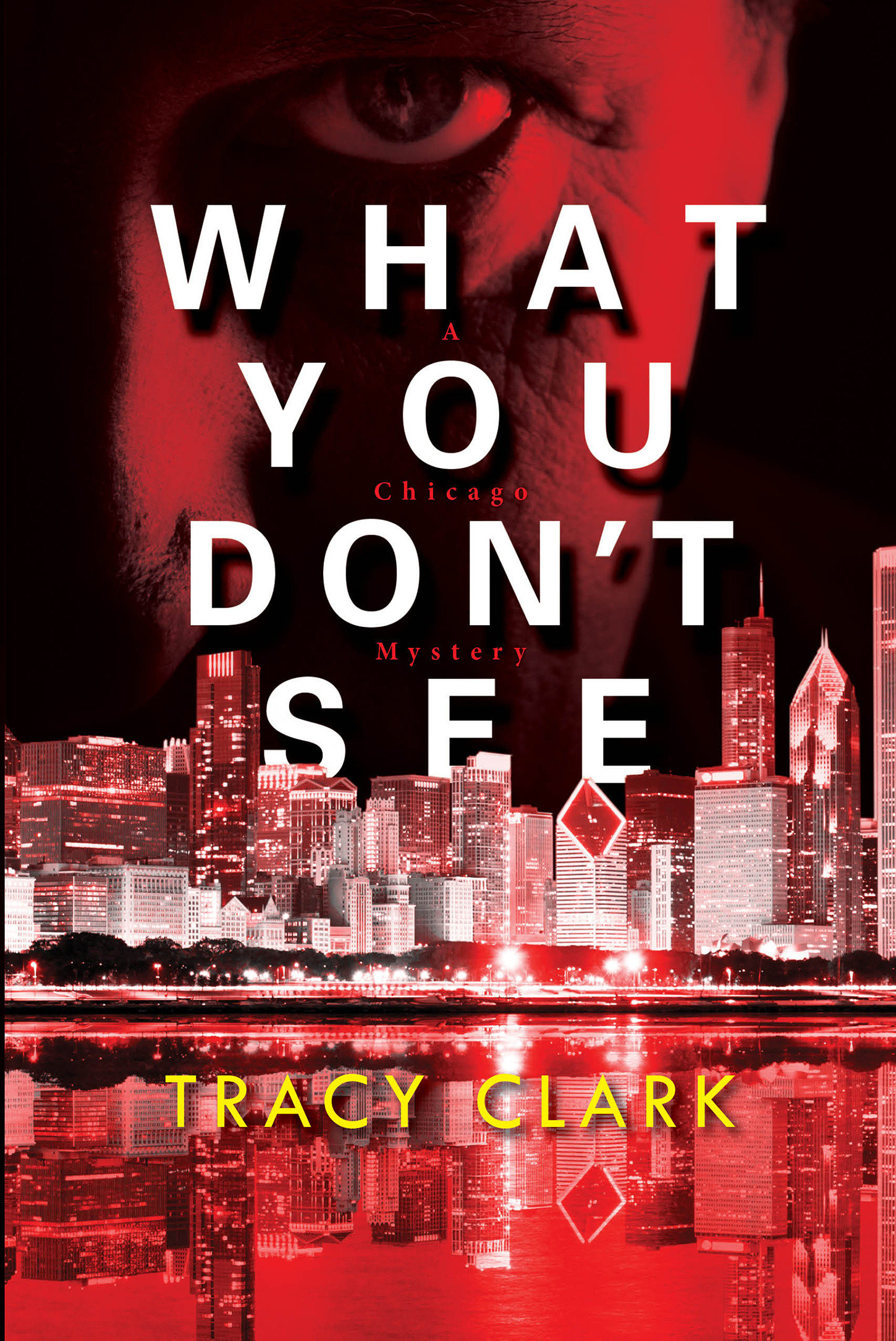 What You Don'T See (Hardcover Book)