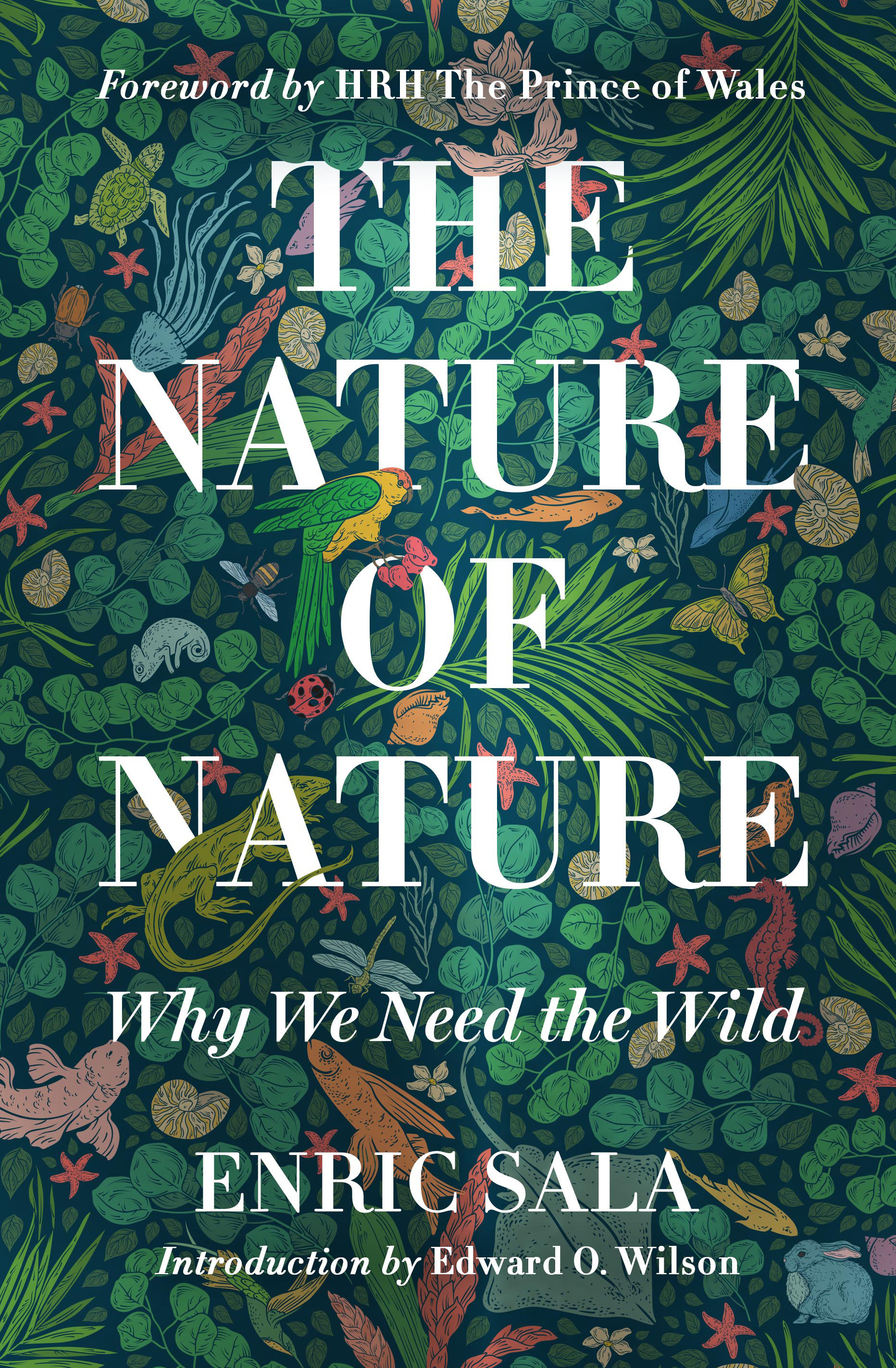 The Nature Of Nature (Hardcover Book)