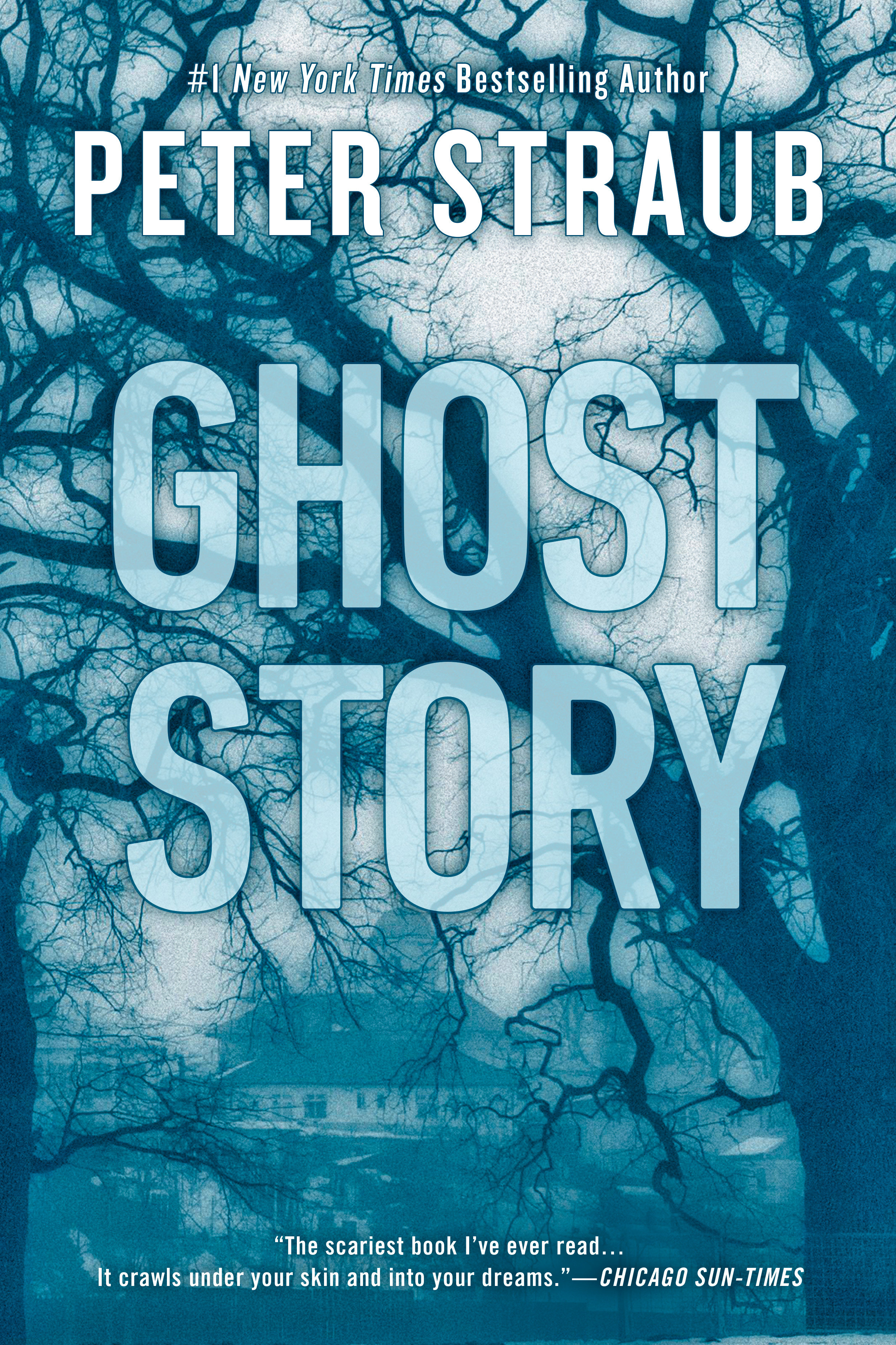 Ghost Story (Paperback Novel)