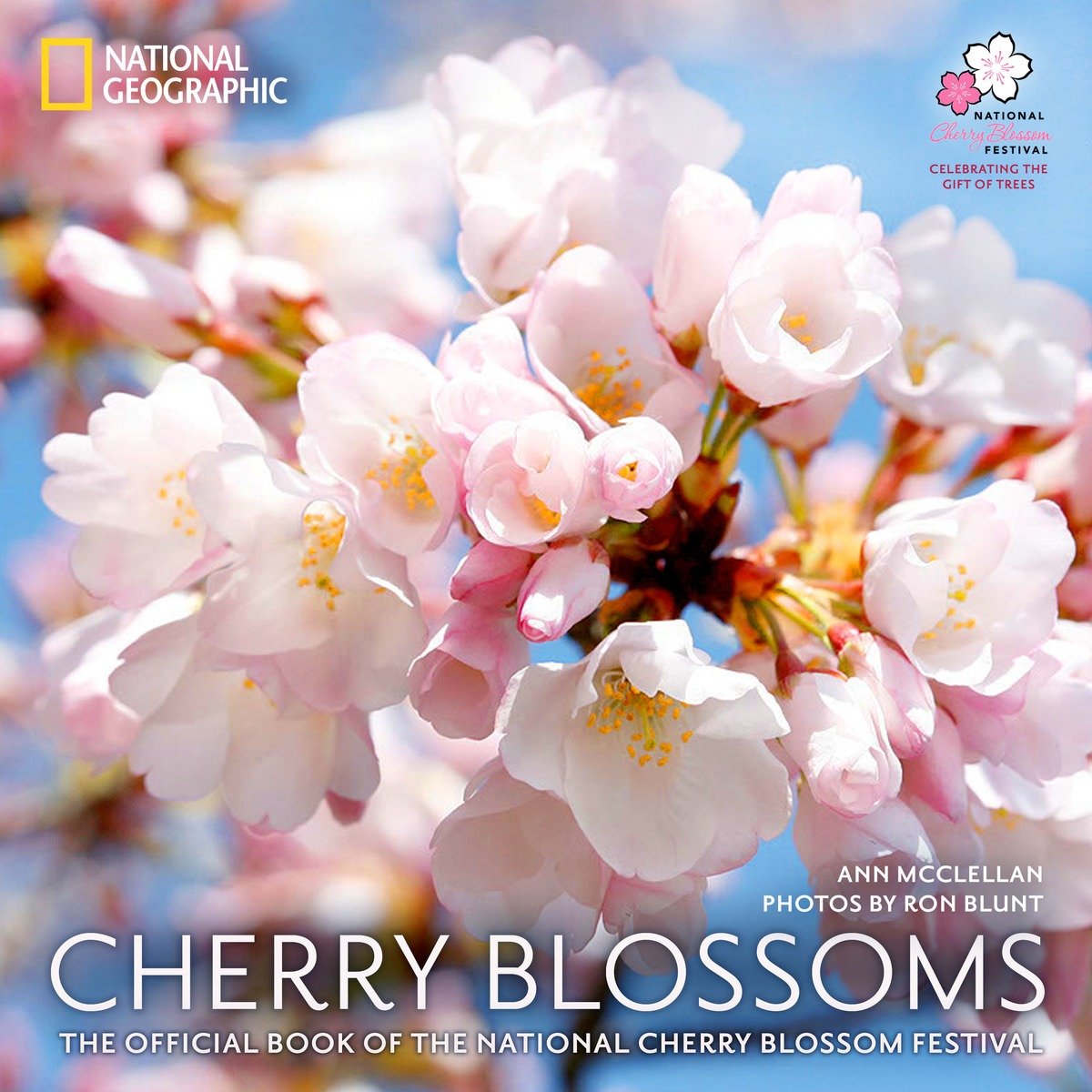 Cherry Blossoms (Hardcover Book)