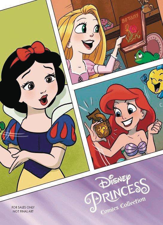 Disney Princess Comics Collected Dream Big Princess Edition Graphic Novel