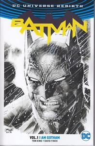 Batman Graphic Novel Volume 1 I Am Gotham Direct Market Version