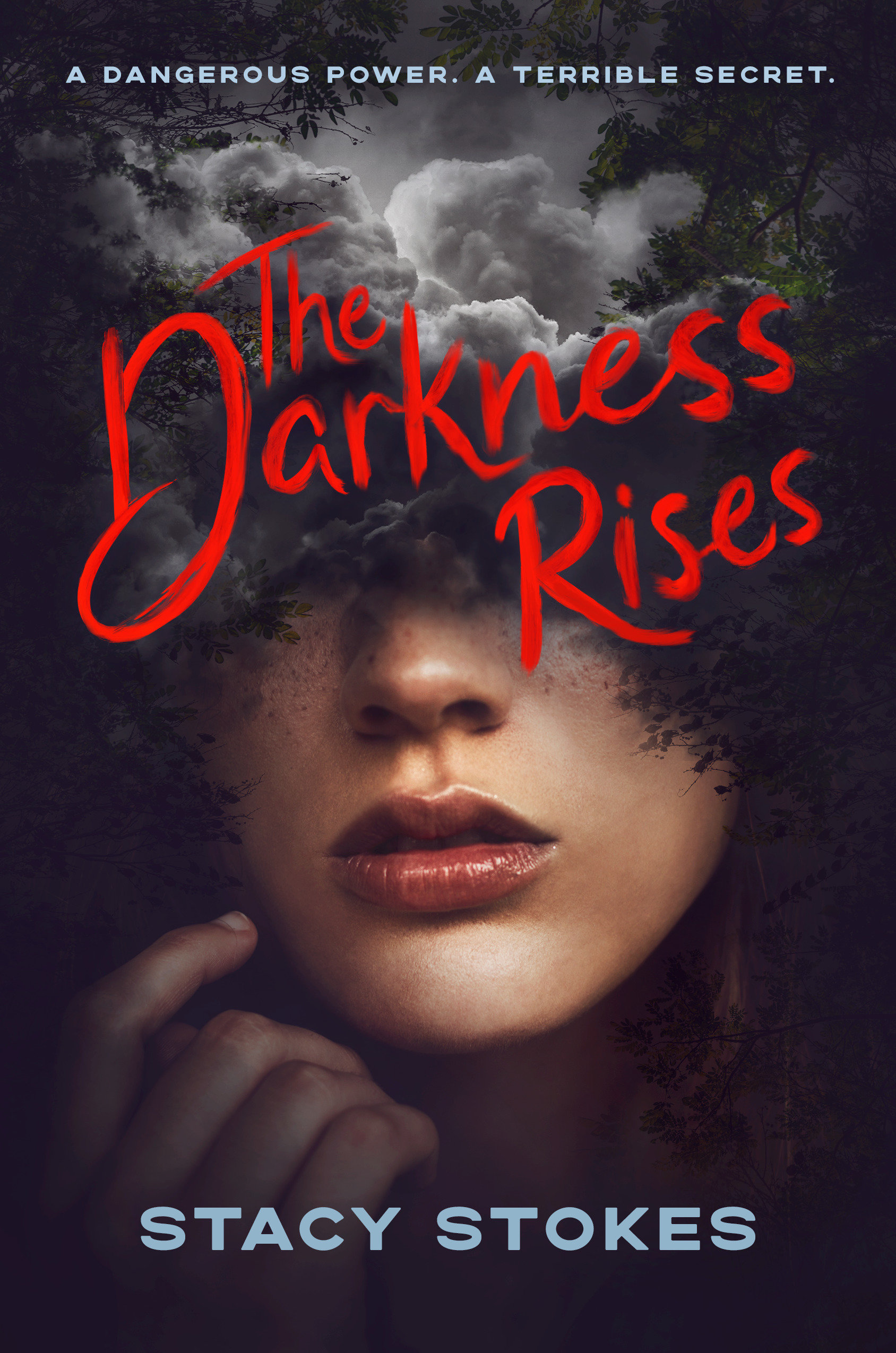 The Darkness Rises (Hardcover Book)