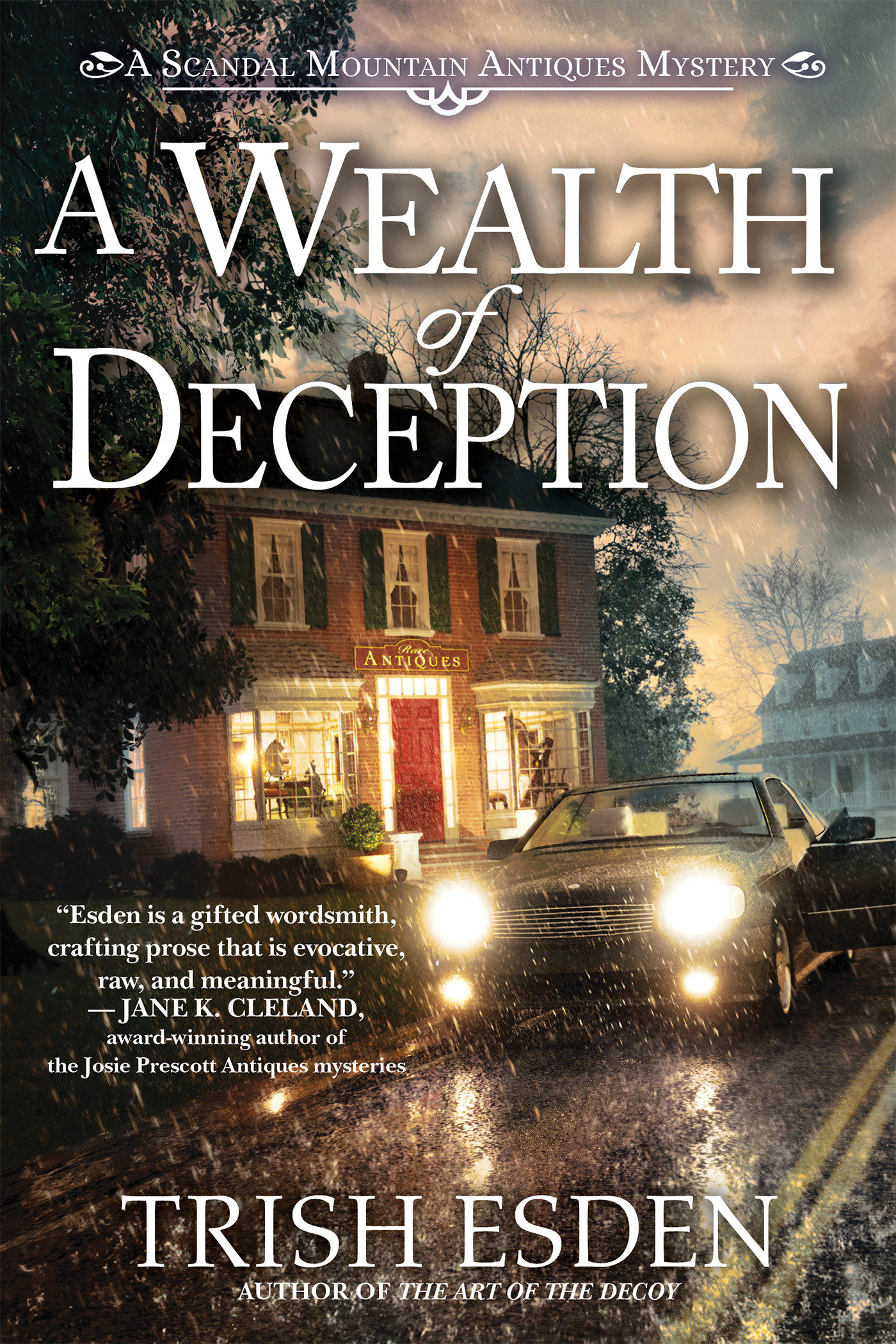 A Wealth Of Deception (Hardcover Book)