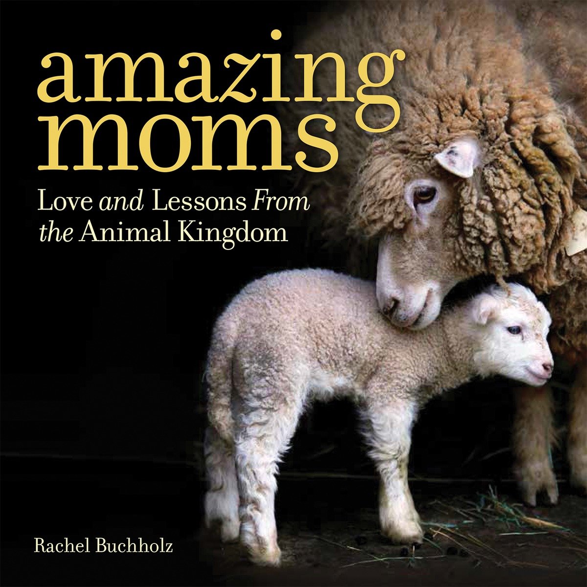 Amazing Moms (Hardcover Book)