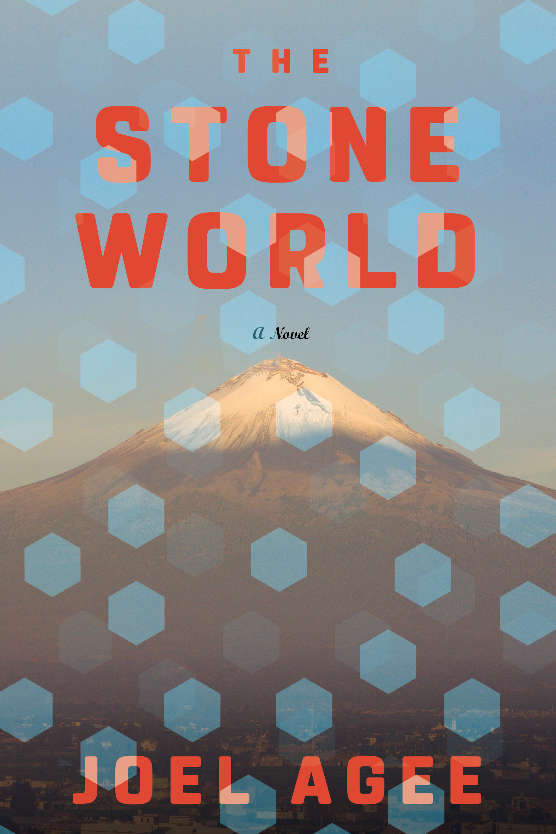 The Stone World (Hardcover Book)