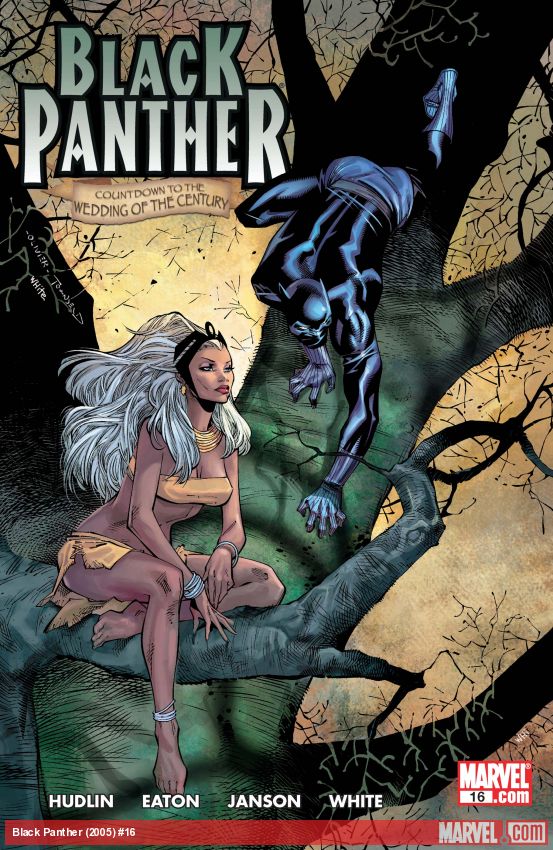 Black Panther #16 (2005)