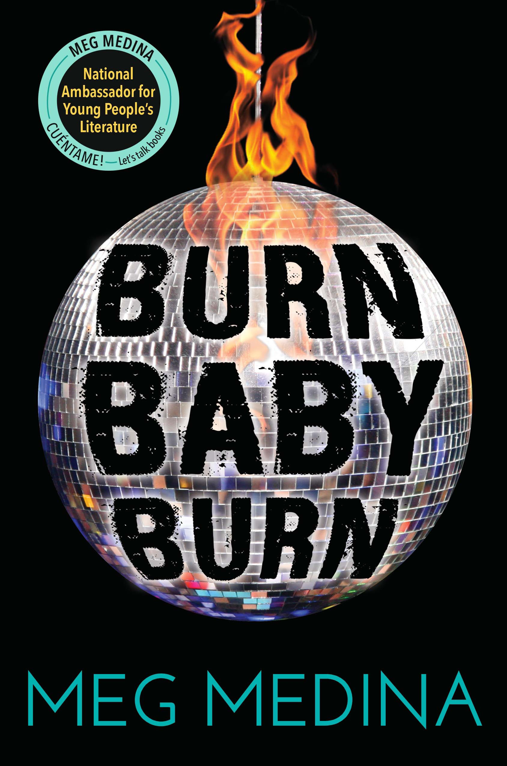 Burn Baby Burn (Hardcover Book)