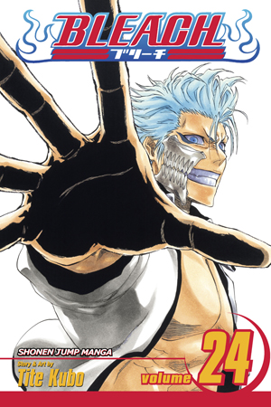 Bleach Manga Volume 24