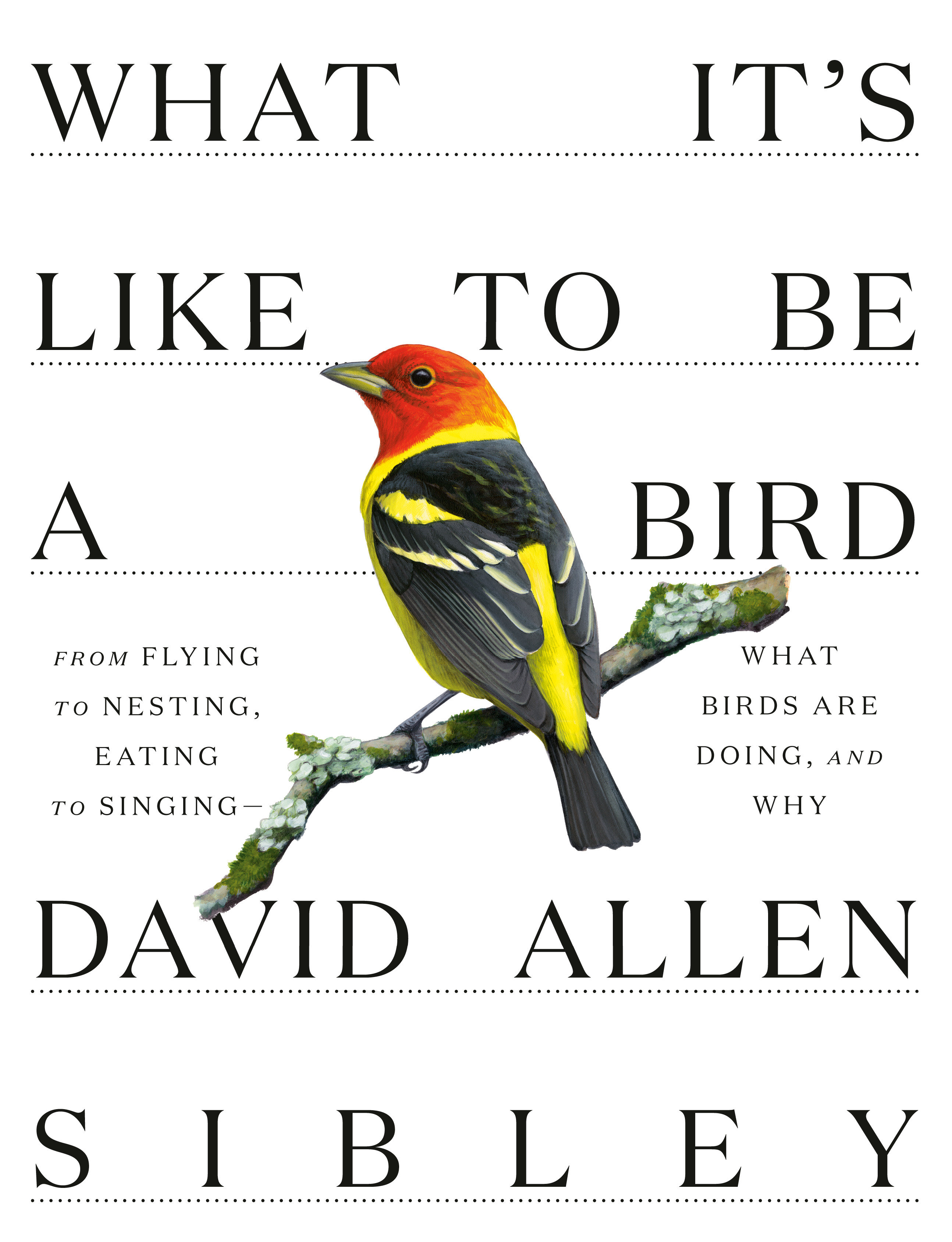 What It'S Like To Be A Bird (Hardcover Book)