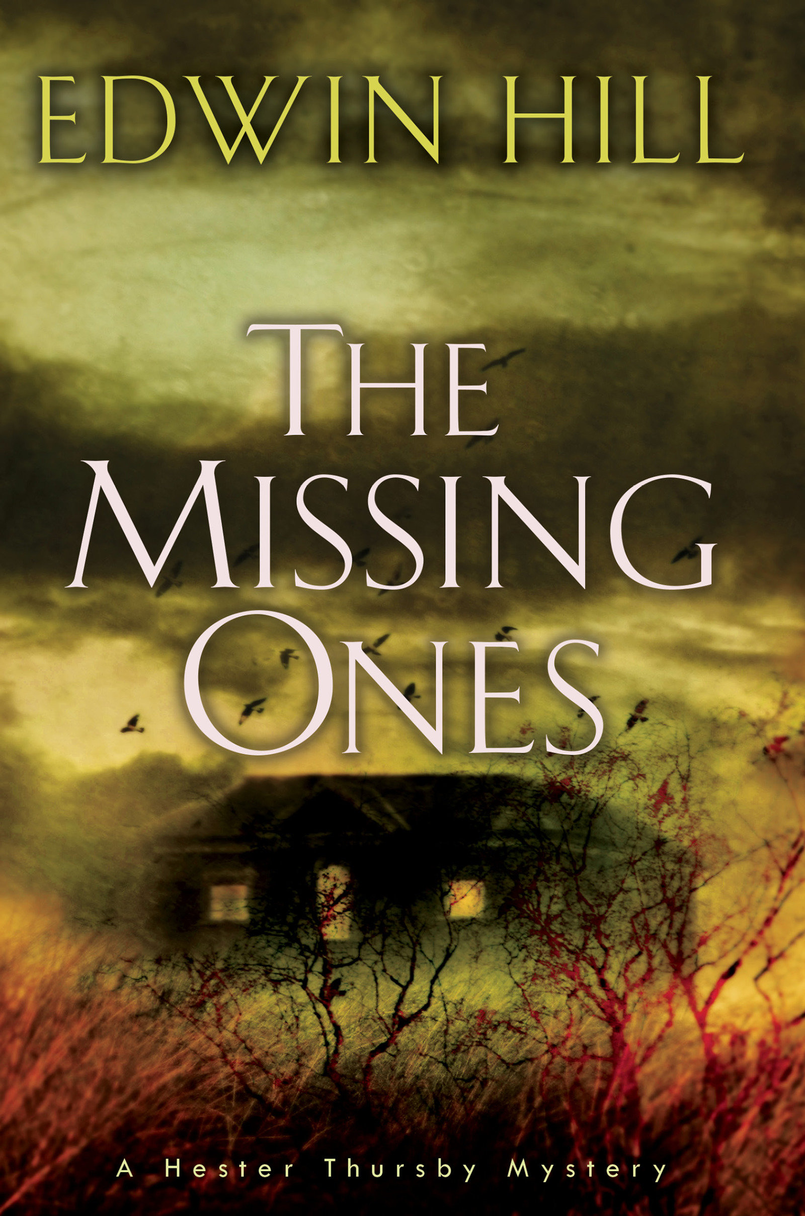 The Missing Ones (Hardcover Book)