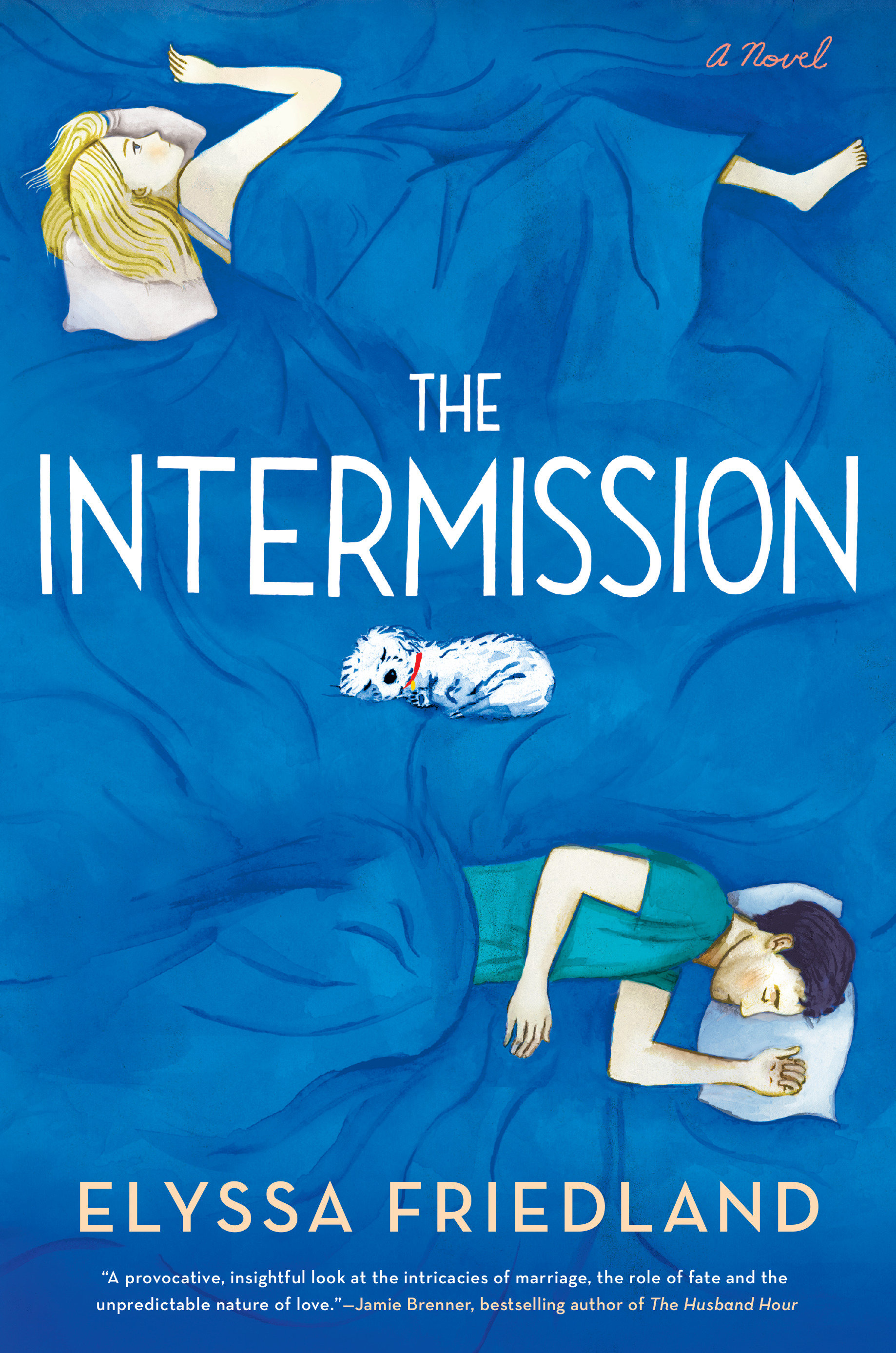 The Intermission (Hardcover Book)