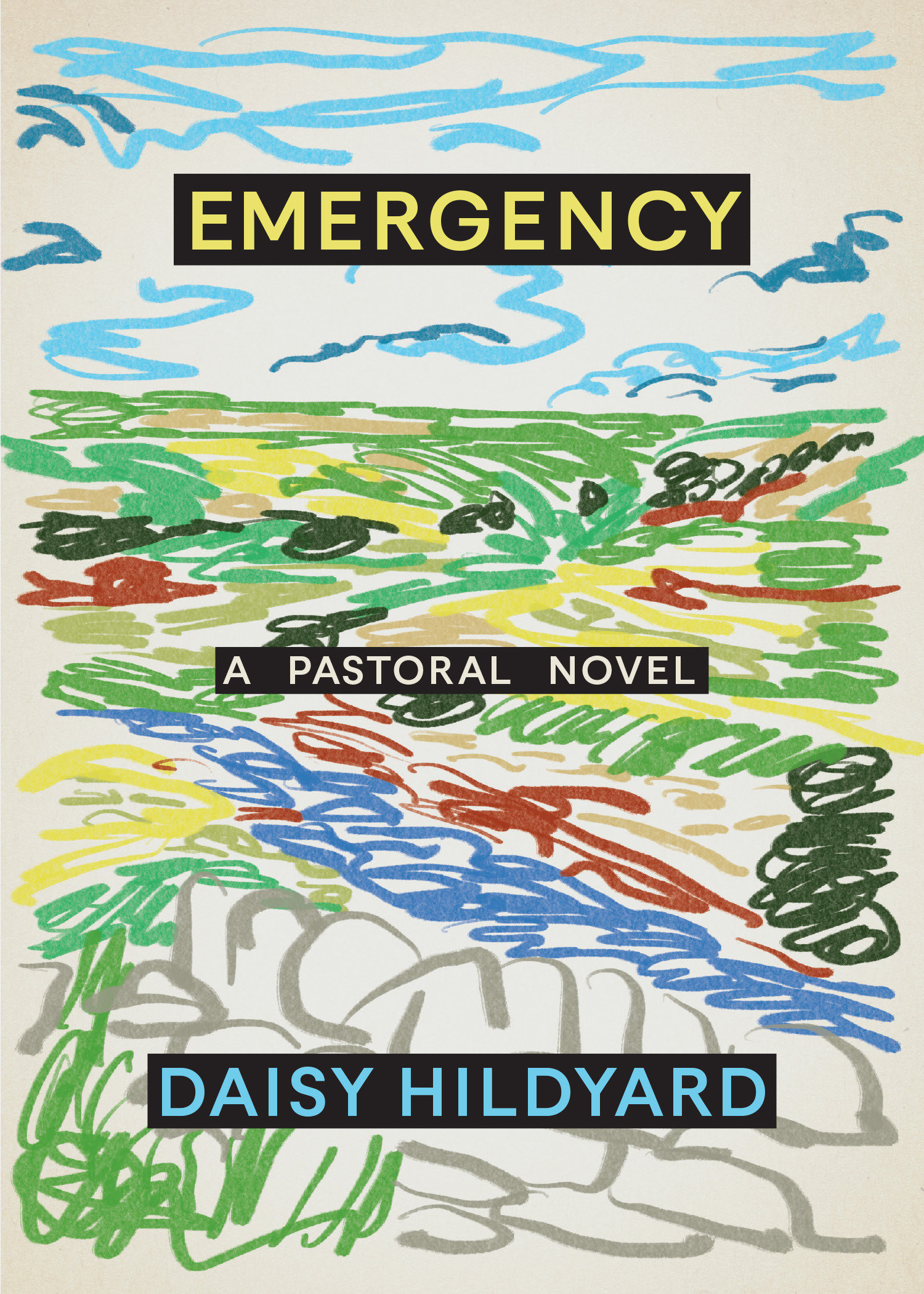 Emergency (Hardcover Book)