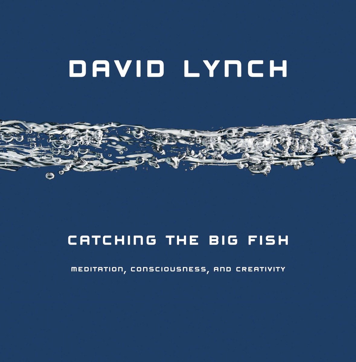 Catching The Big Fish (Hardcover Book)