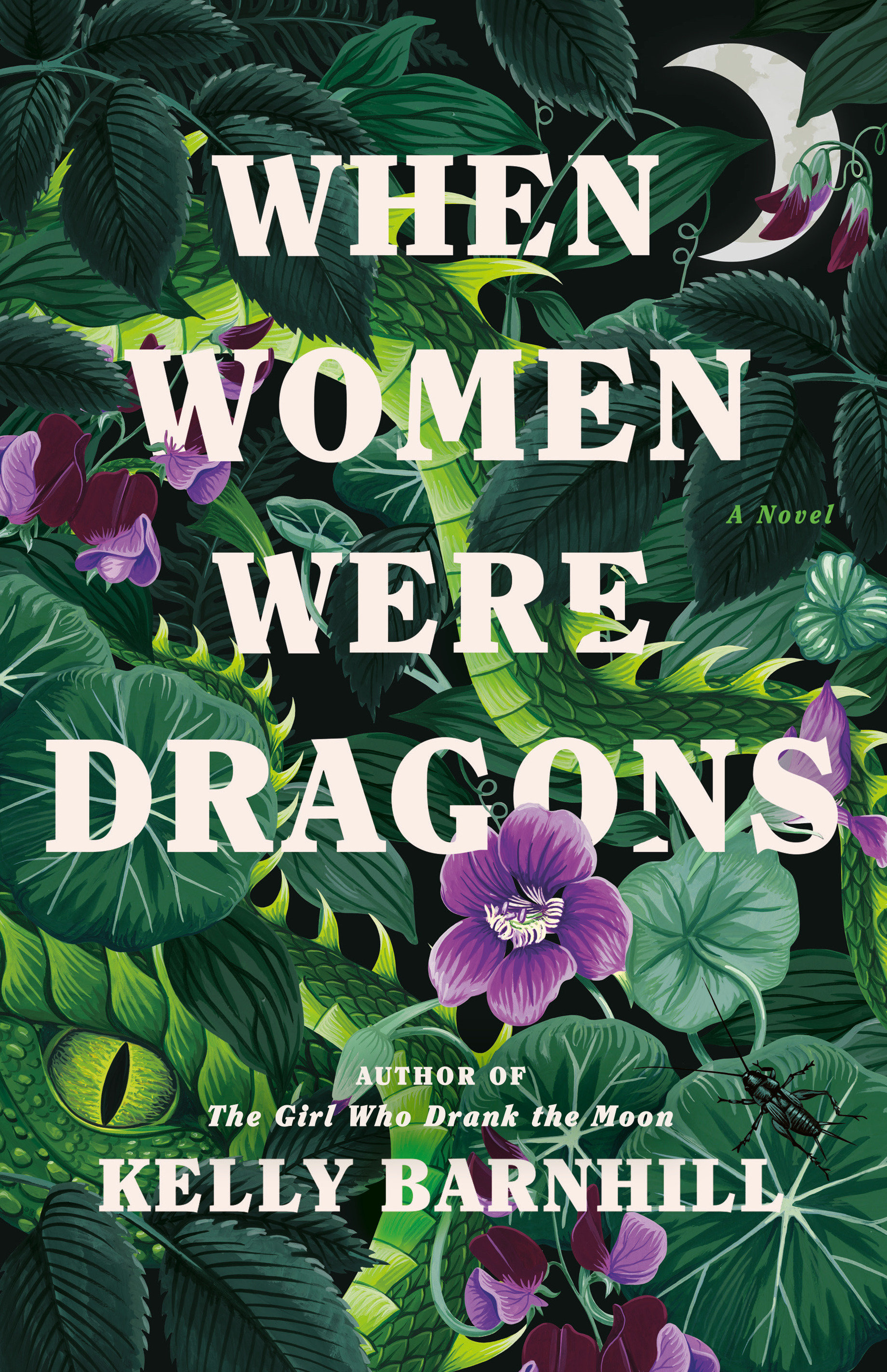 When Women Were Dragons (Hardcover Book)