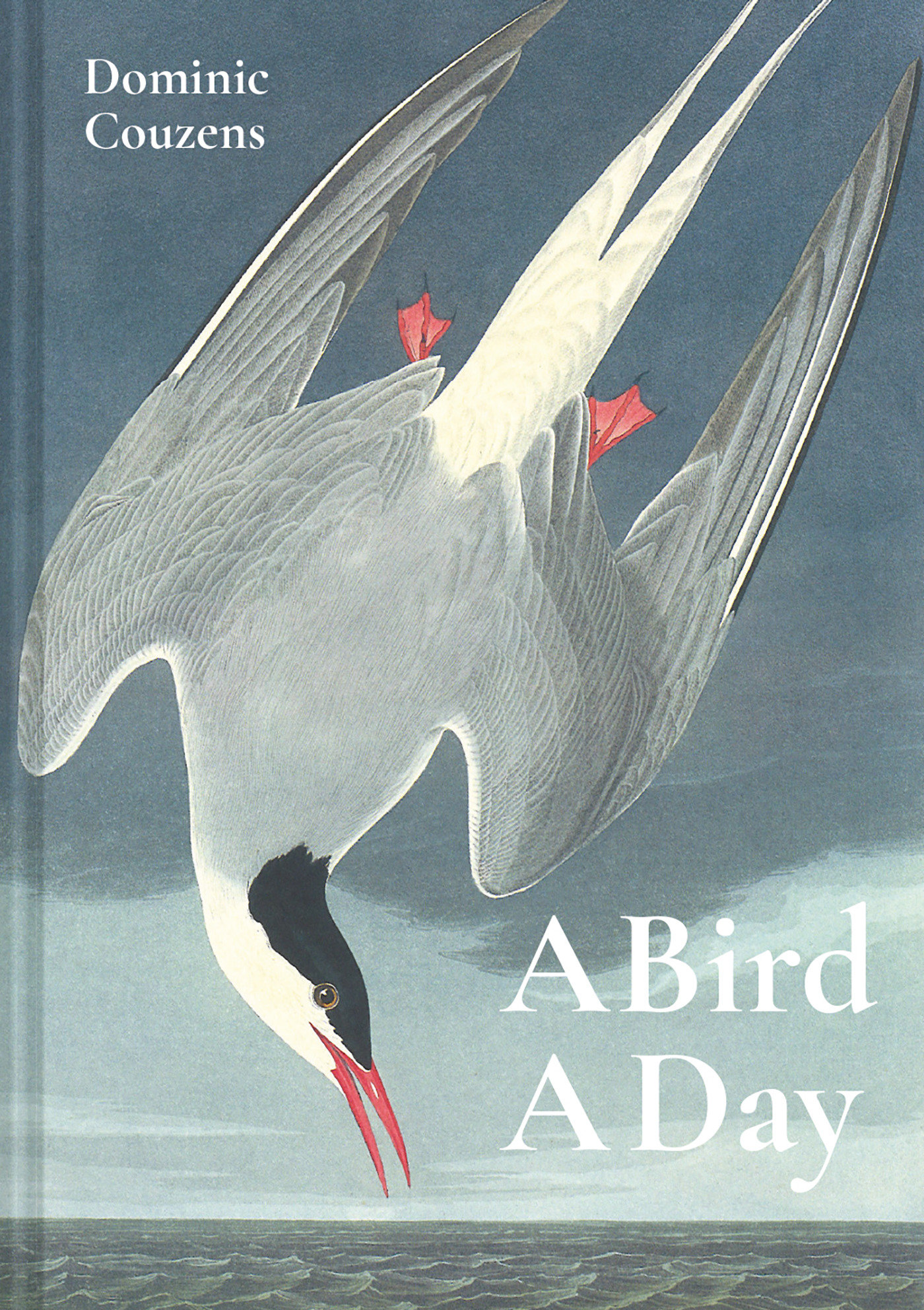 Bird A Day (Hardcover Book)