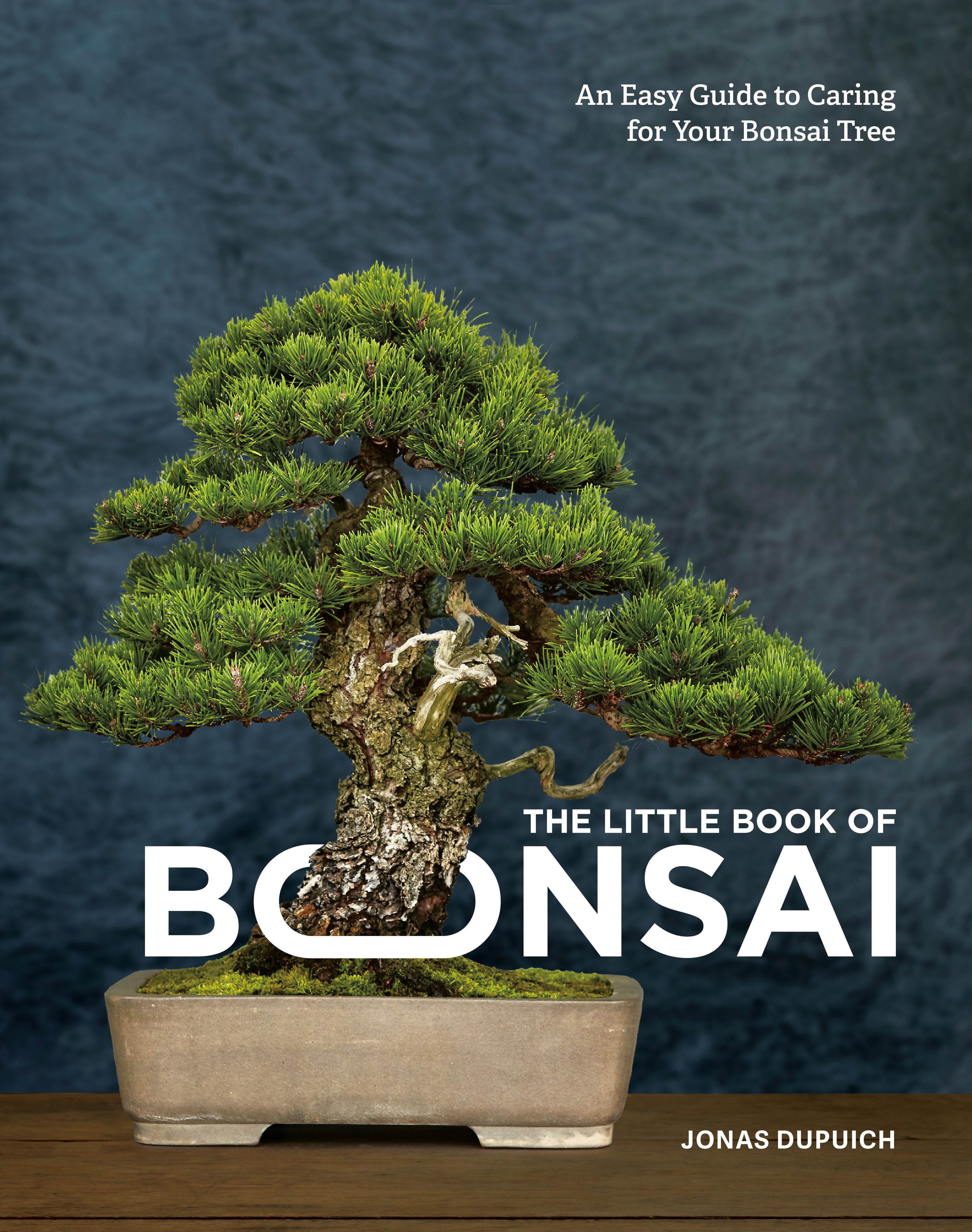 The Little Book Of Bonsai (Hardcover Book)