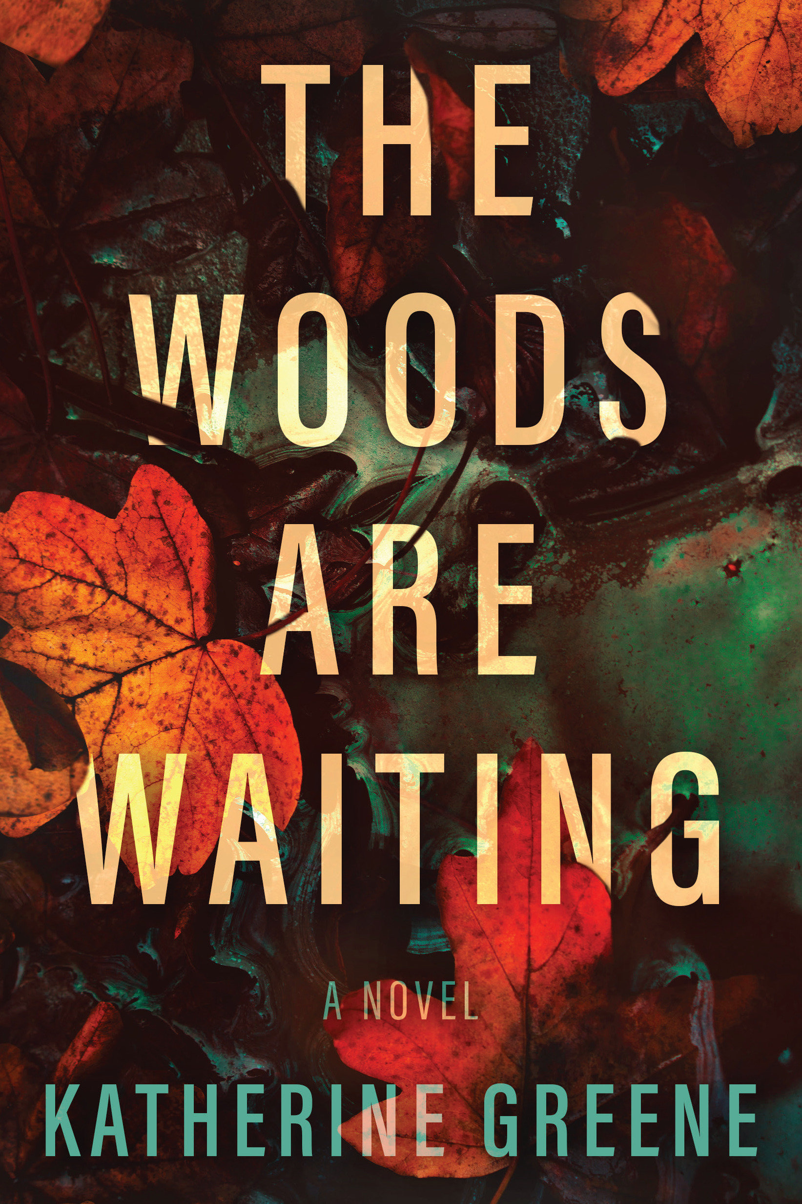 The Woods Are Waiting (Hardcover Book)
