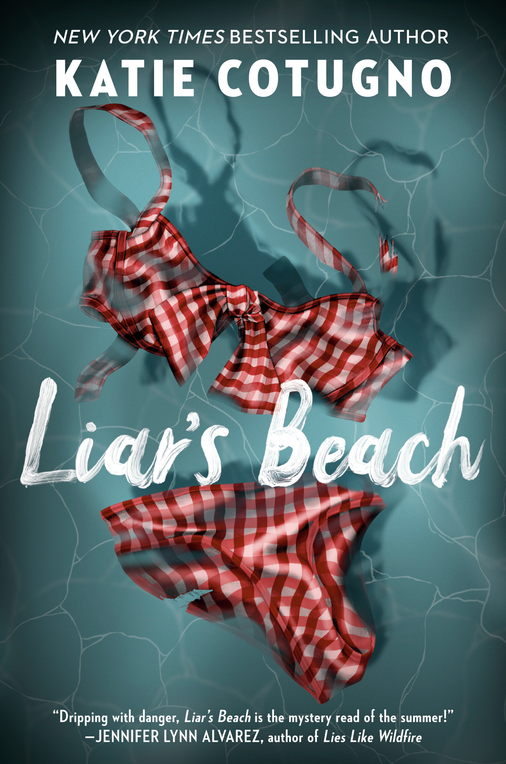 Liar'S Beach (Hardcover Book)
