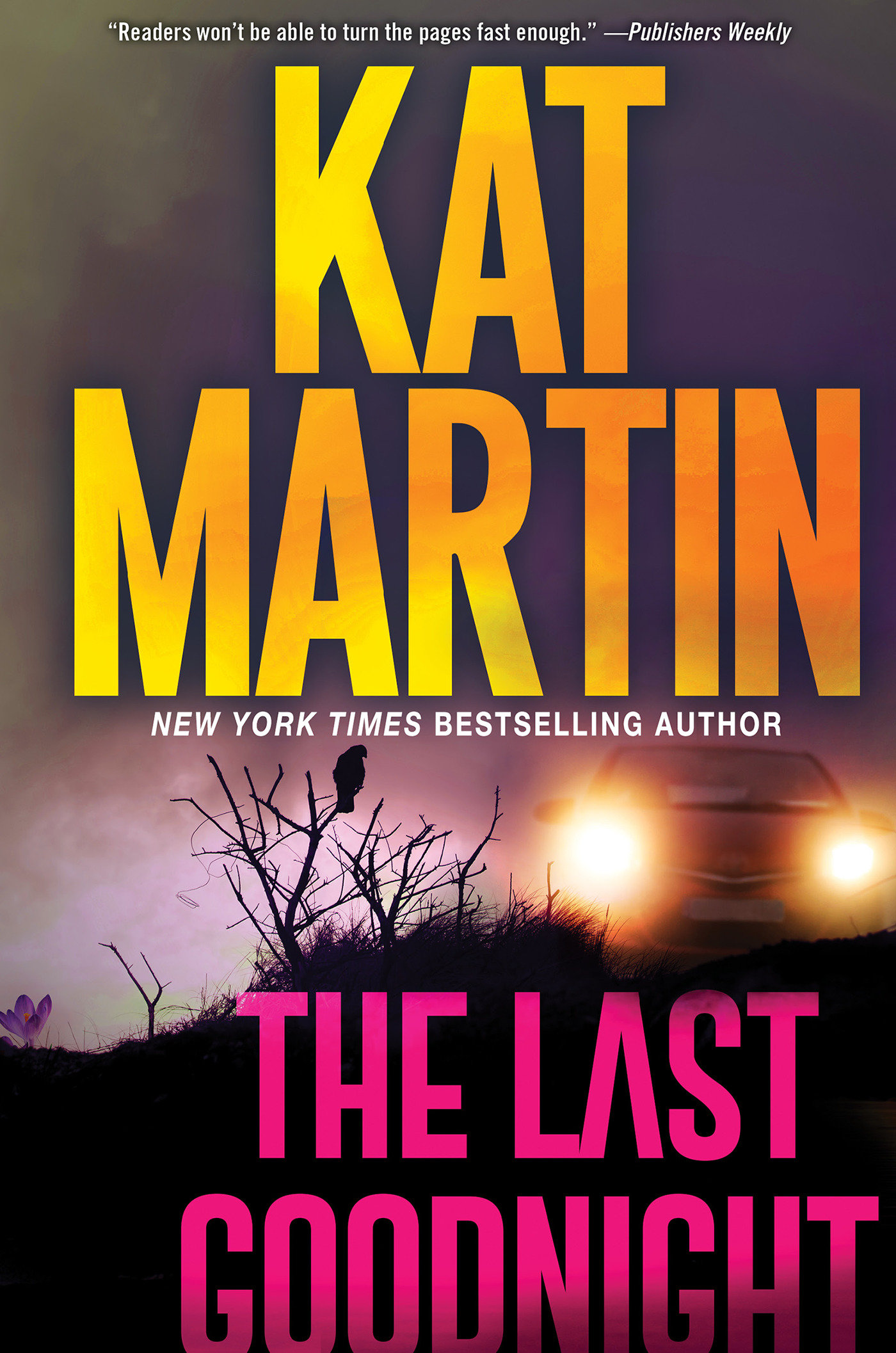 The Last Goodnight (Hardcover Book)
