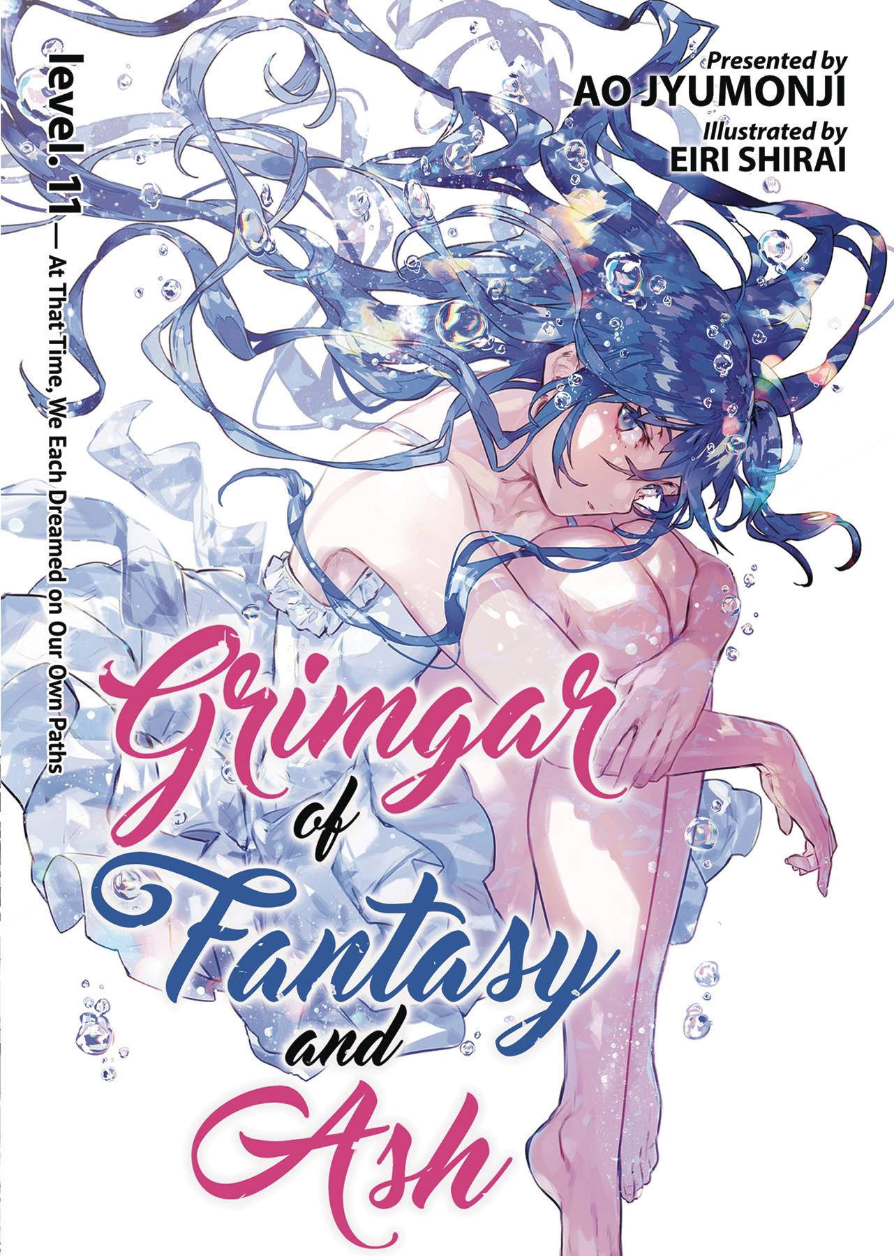 Grimgar of Fantasy & Ash Light Novel Volume 11
