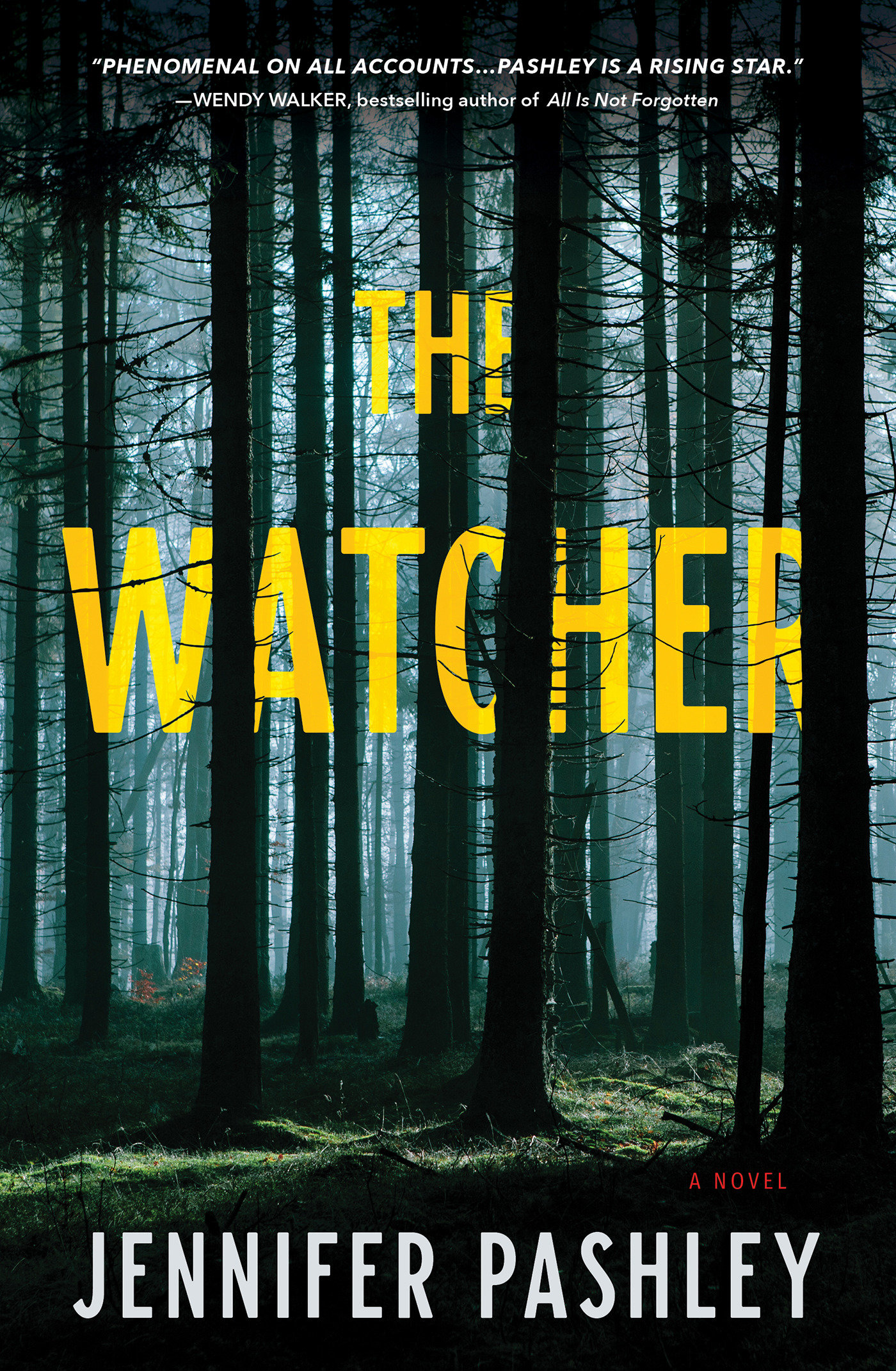 The Watcher (Hardcover Book)