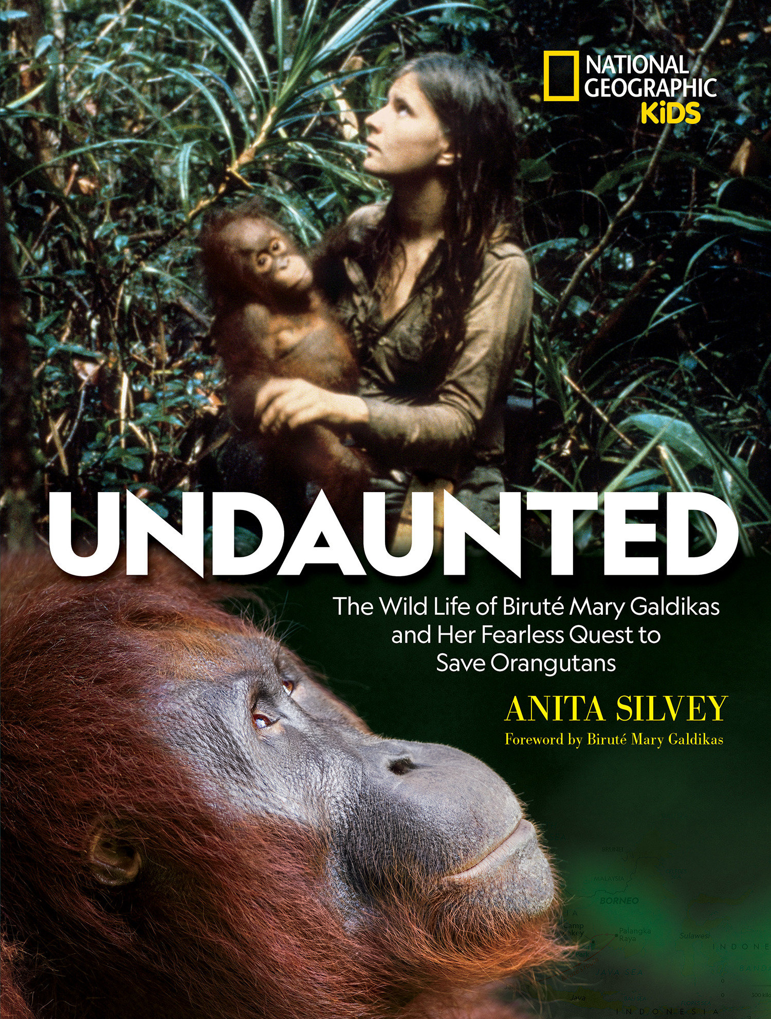 Undaunted (Hardcover Book)