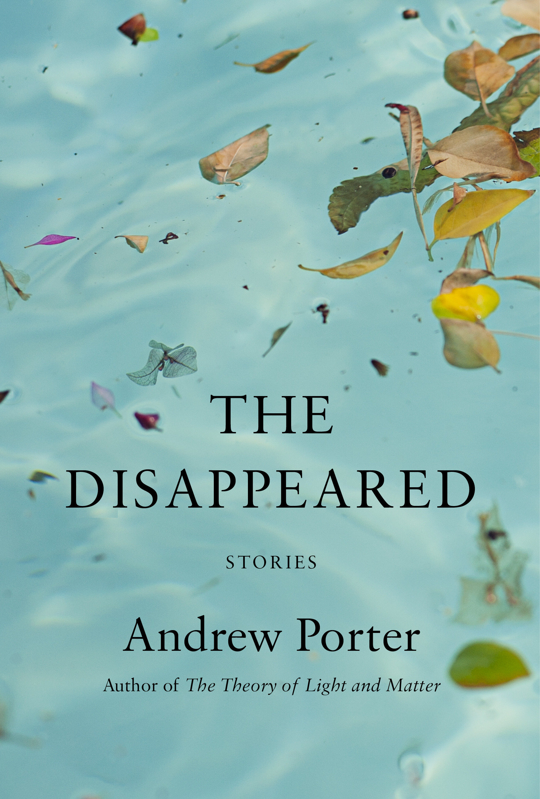 The Disappeared (Hardcover Book)