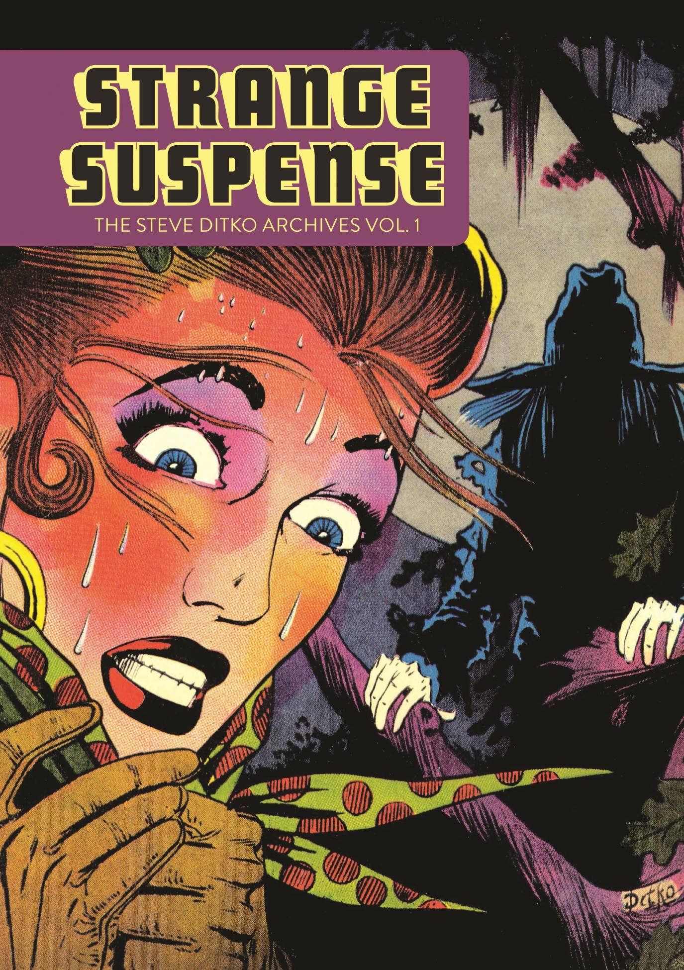 Steve Ditko Archives Graphic Novel Volume 1 Strange Suspense