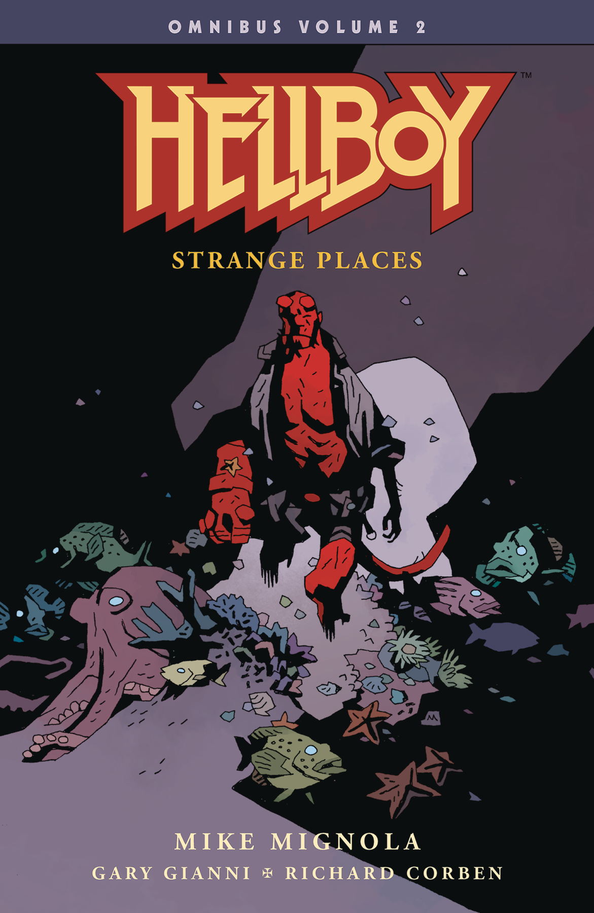 Hellboy Omnibus Graphic Novel Volume 2 Strange Places