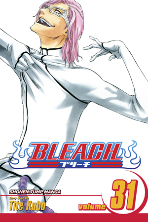 Bleach Manga Volume 31