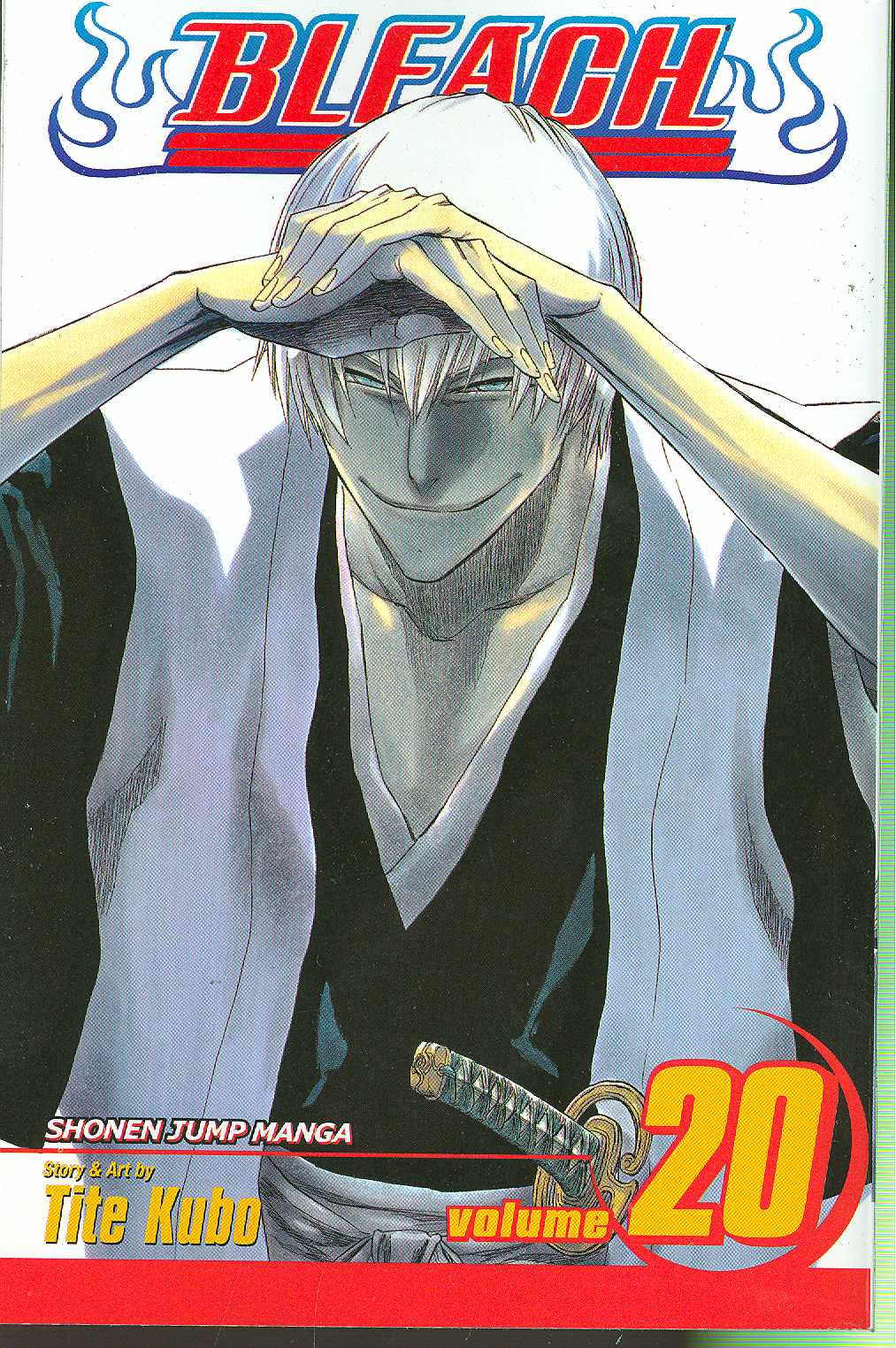 Bleach Manga Volume 20