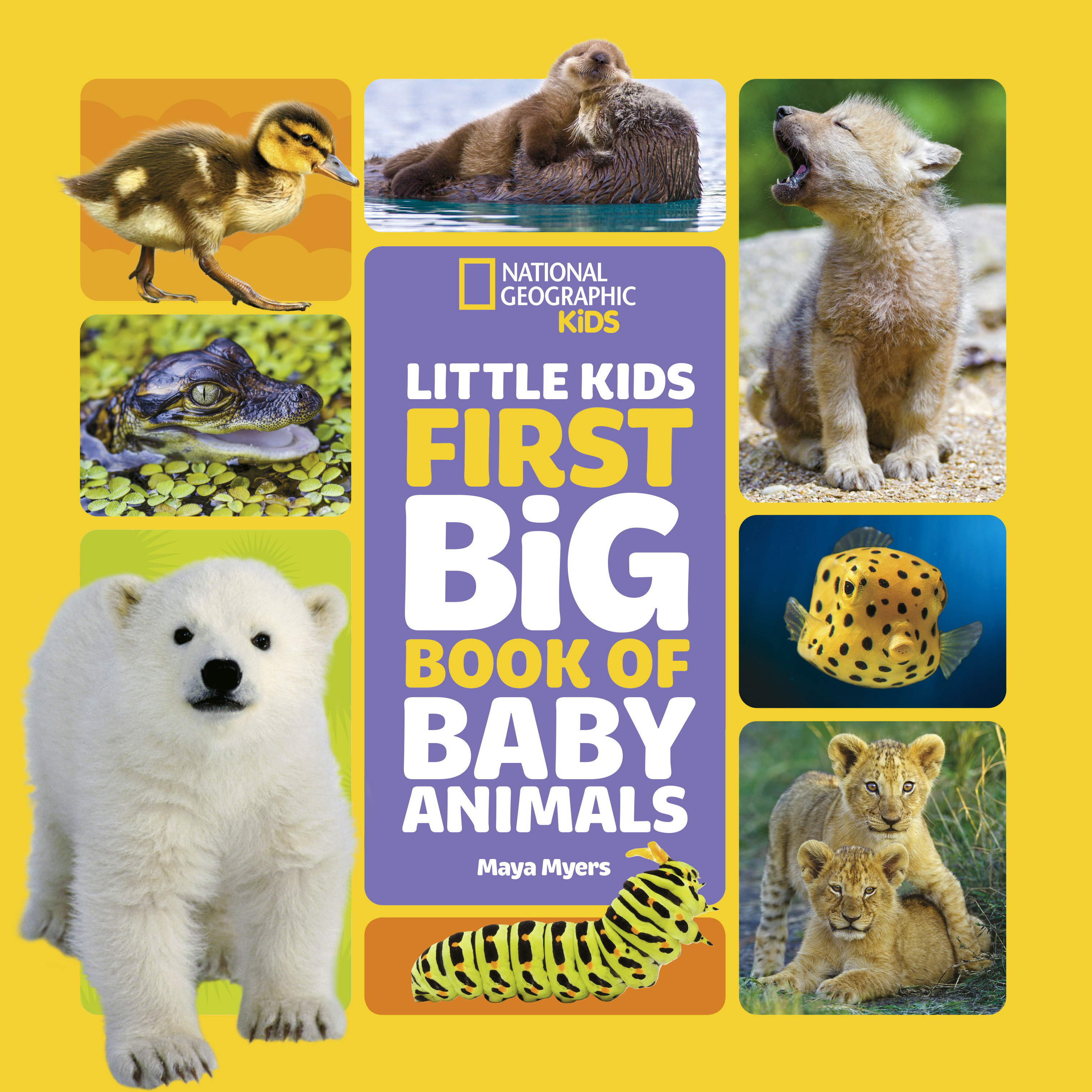 Little Kids First Big Book Of Baby Animals (Hardcover Book)
