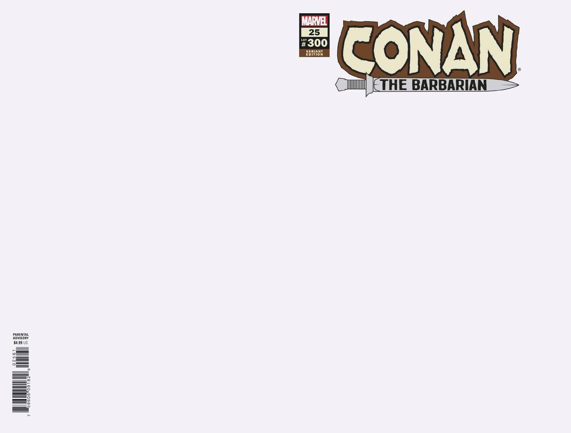 Conan the Barbarian #25 Blank Variant (2018)