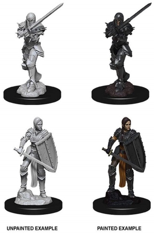 Dungeons & Dragons - Nolzur's Marvelous Miniatures: Female Human Fighter