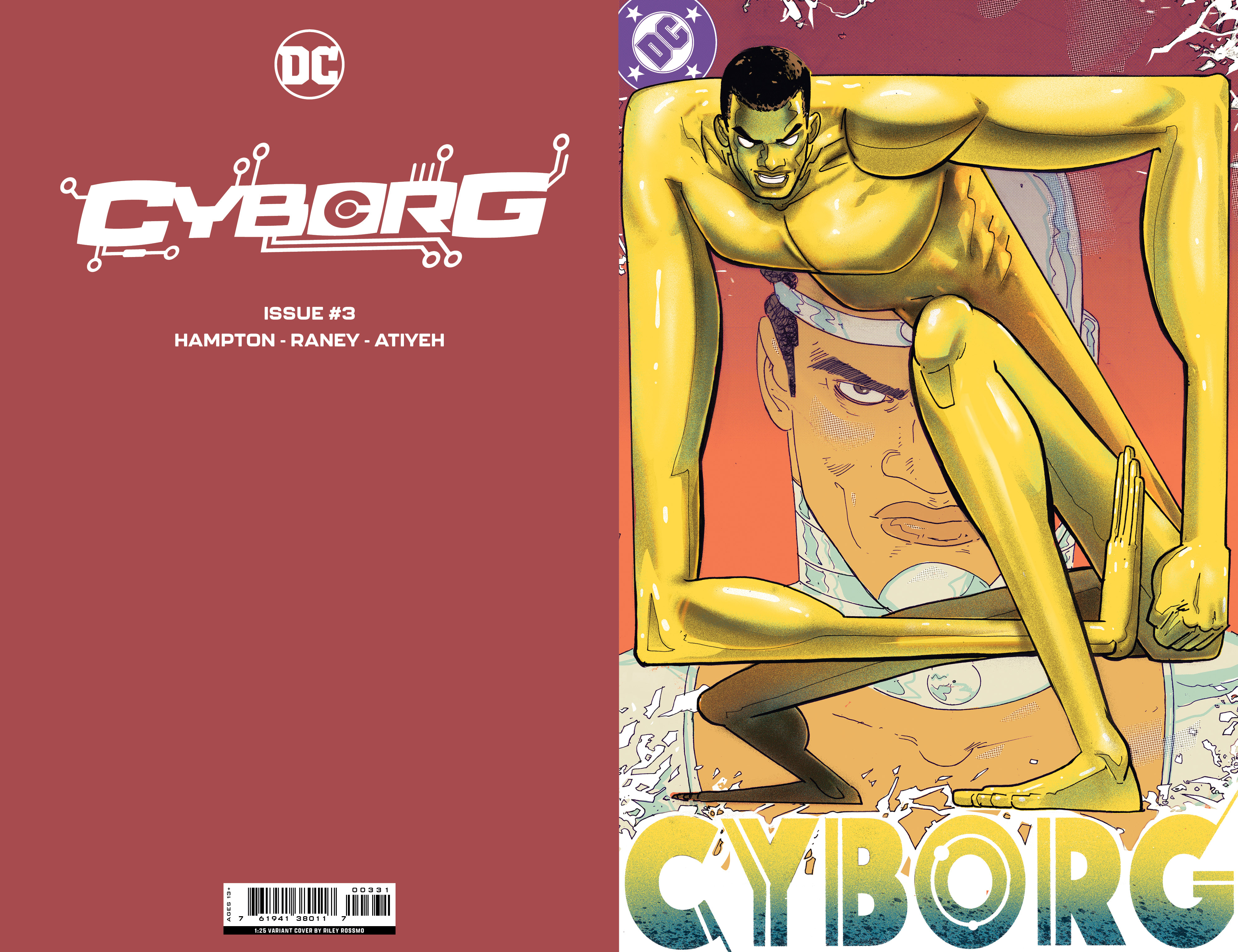 Cyborg #3 Cover C 1 for 25 Incentive Riley Rossmo Card Stock Variant (Of 6)